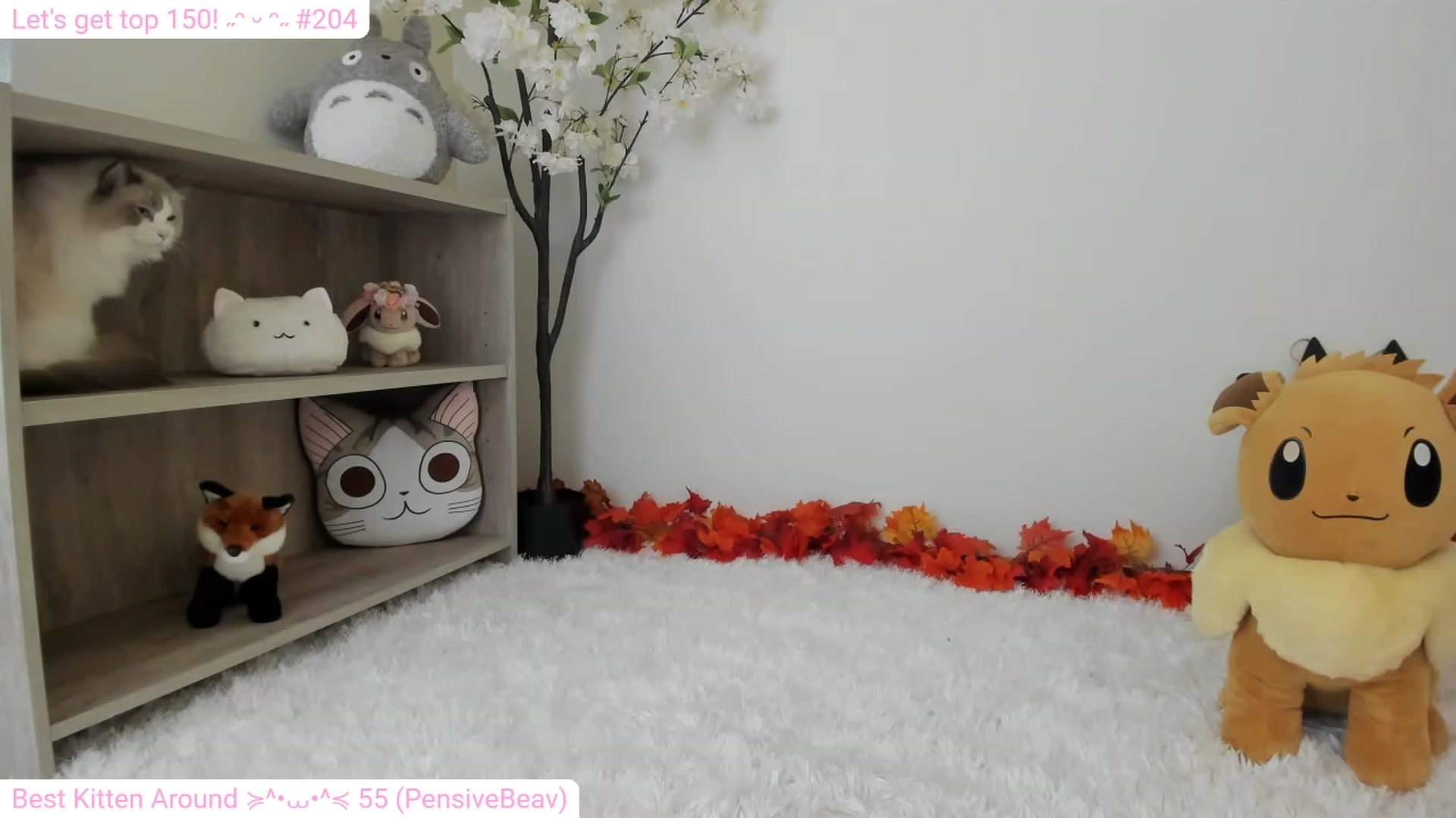 Gallery image thumbnail from Kitty's myfreecams stream on, 12/22/2023, 05:57 image 18 of 20