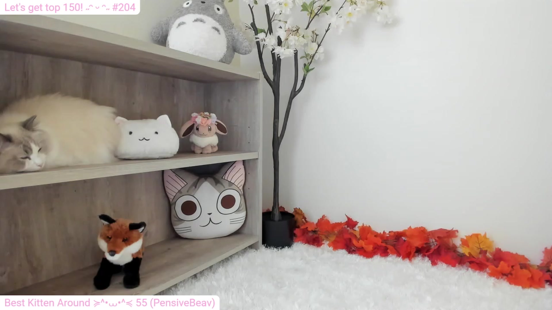 Gallery image thumbnail from Kitty's myfreecams stream on, 12/22/2023, 06:22 image 15 of 20