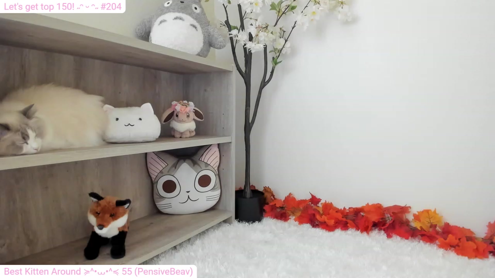 Gallery image thumbnail from Kitty's myfreecams stream on, 12/22/2023, 06:22 image 16 of 20