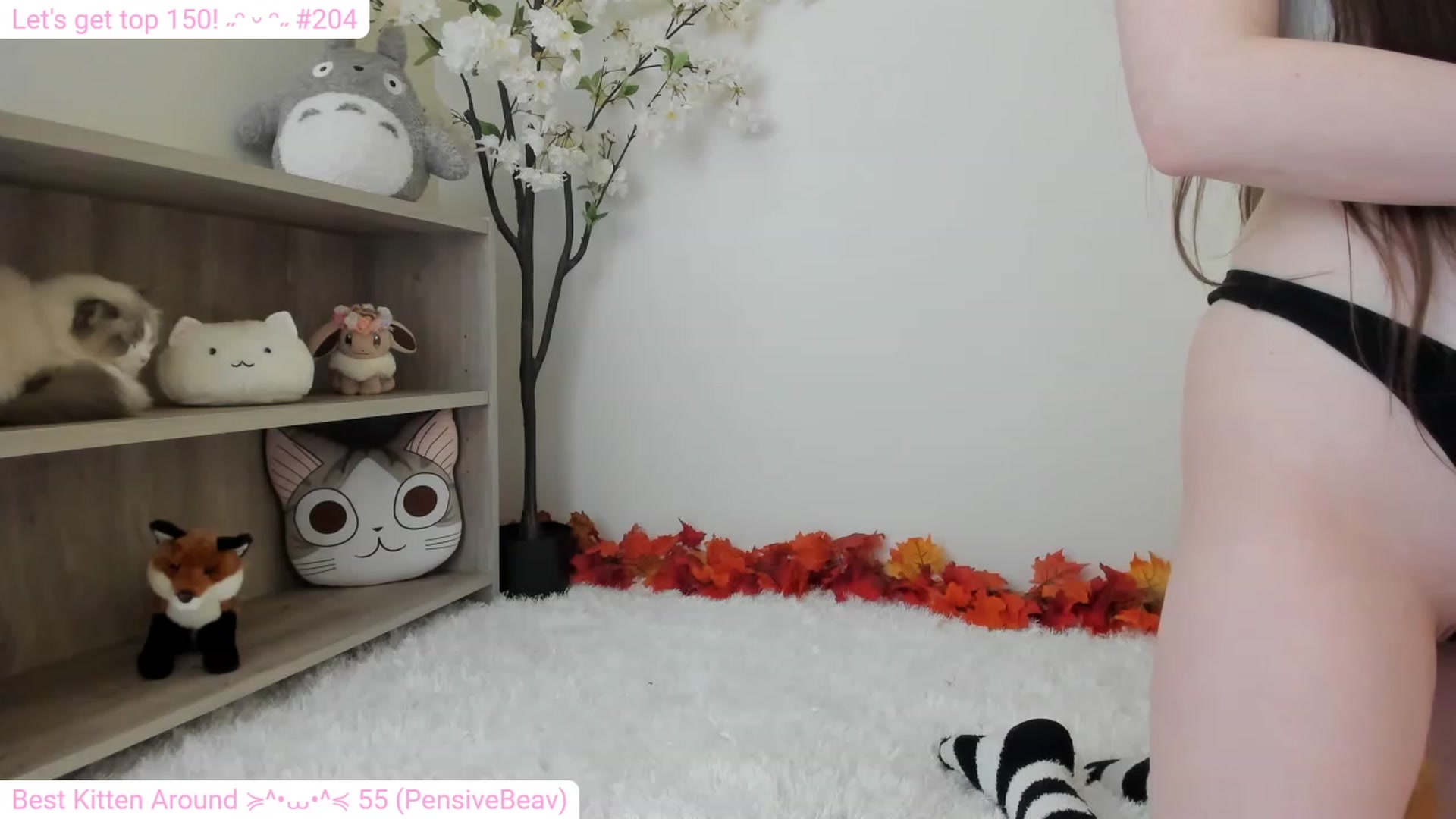 Gallery image thumbnail from Kitty's myfreecams stream on, 12/22/2023, 06:22 image 19 of 20