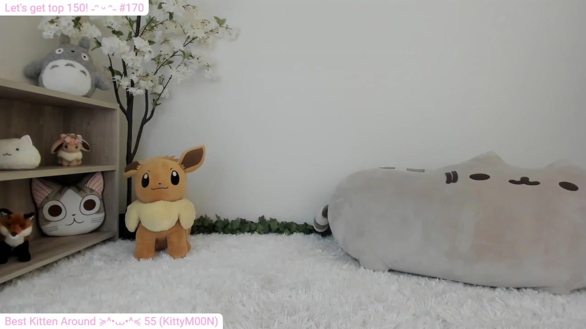 Gallery image thumbnail from Kitty's myfreecams stream on, 12/29/2023, 06:18 image 2 of 20