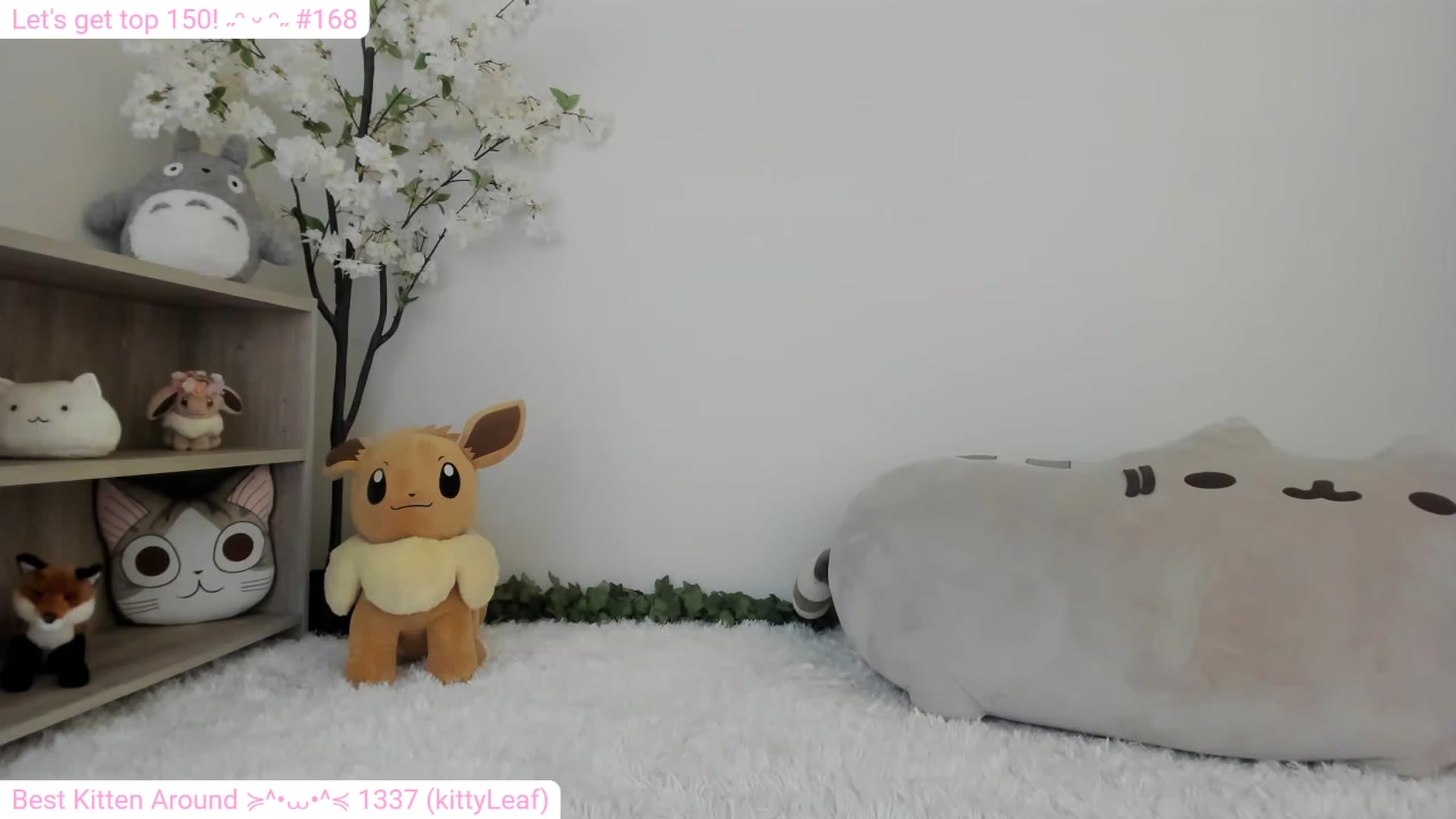 Gallery image thumbnail from Kitty's myfreecams stream on, 12/29/2023, 08:25 image 3 of 20