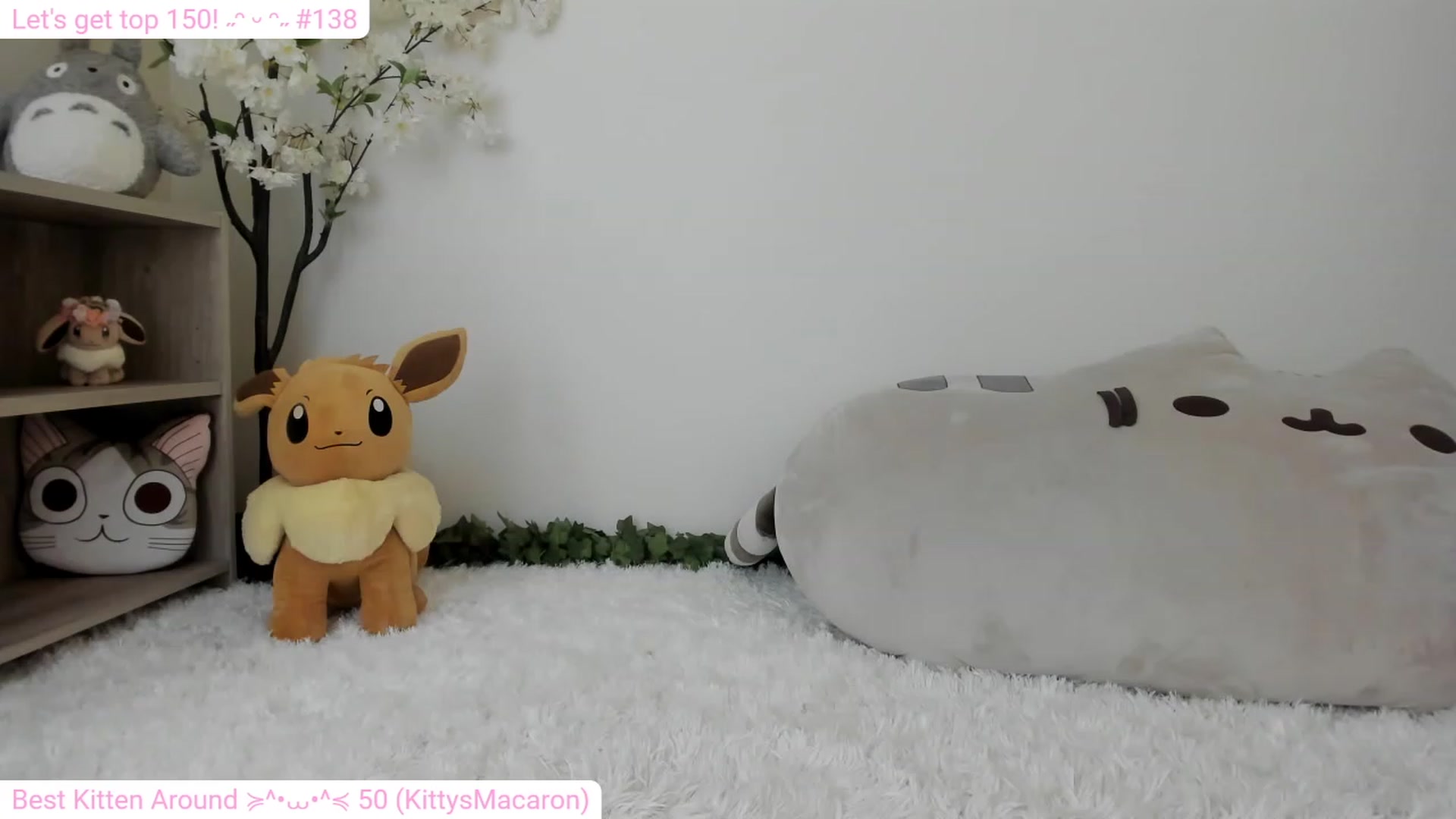 Gallery image thumbnail from Kitty's myfreecams stream on, 12/31/2023, 07:42 image 1 of 20