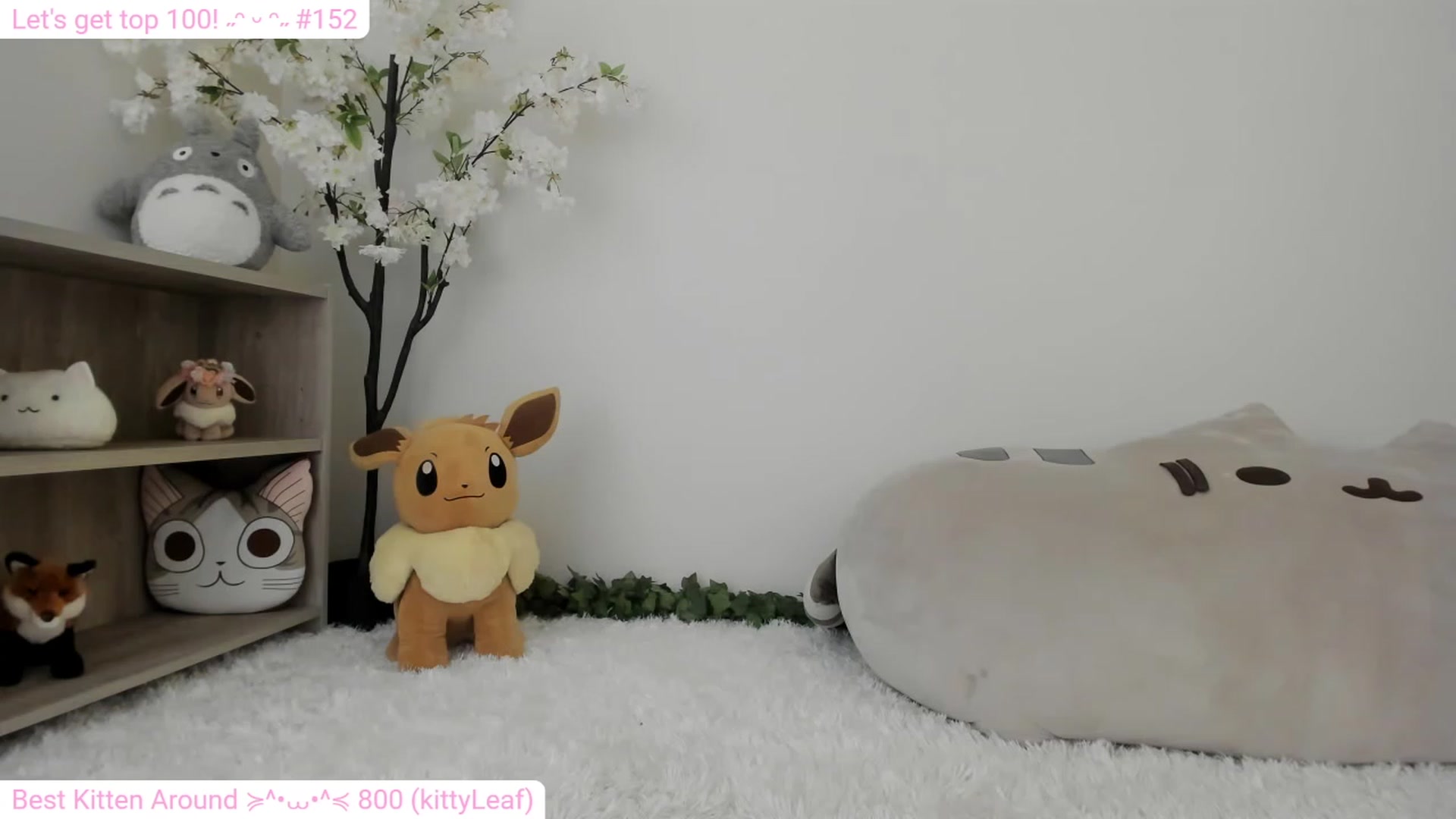 Gallery image thumbnail from Kitty's myfreecams stream on, 01/06/2024, 08:03 image 9 of 20