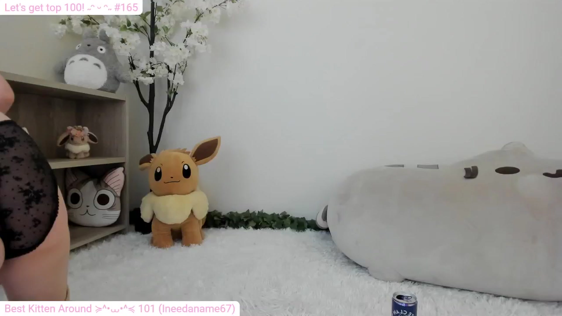 Gallery image thumbnail from Kitty's myfreecams stream on, 01/18/2024, 07:16 image 8 of 20