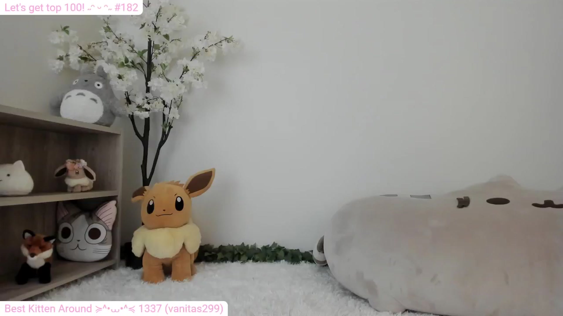 Gallery image thumbnail from Kitty's myfreecams stream on, 01/20/2024, 09:22 image 16 of 20