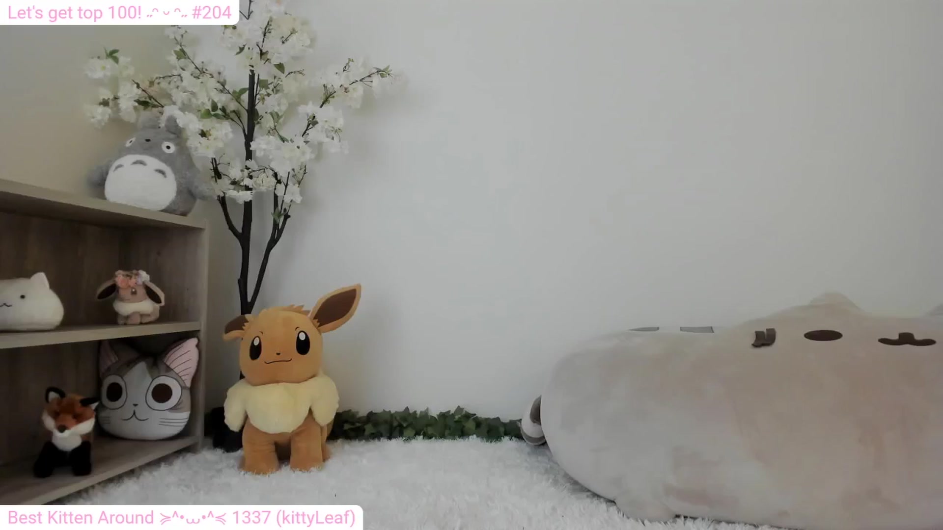 Gallery image thumbnail from Kitty's myfreecams stream on, 01/22/2024, 07:43 image 5 of 20