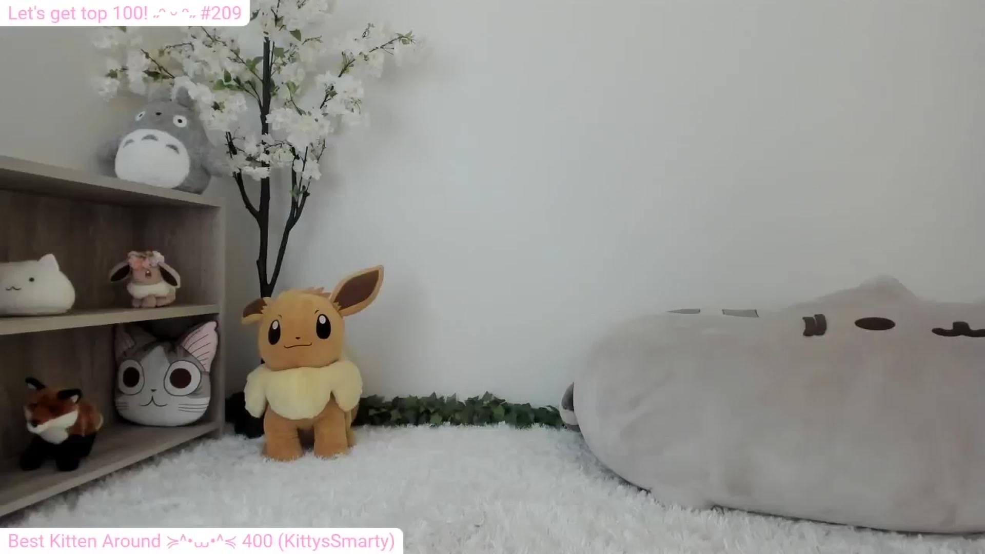 Gallery image thumbnail from Kitty's myfreecams stream on, 01/24/2024, 07:51 image 5 of 20