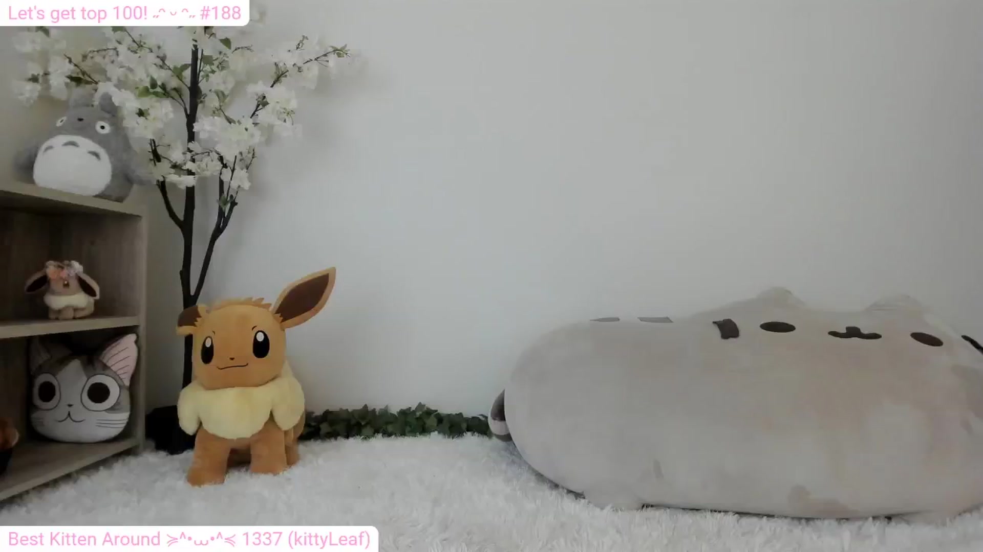 Gallery image thumbnail from Kitty's myfreecams stream on, 01/26/2024, 09:27 image 13 of 20
