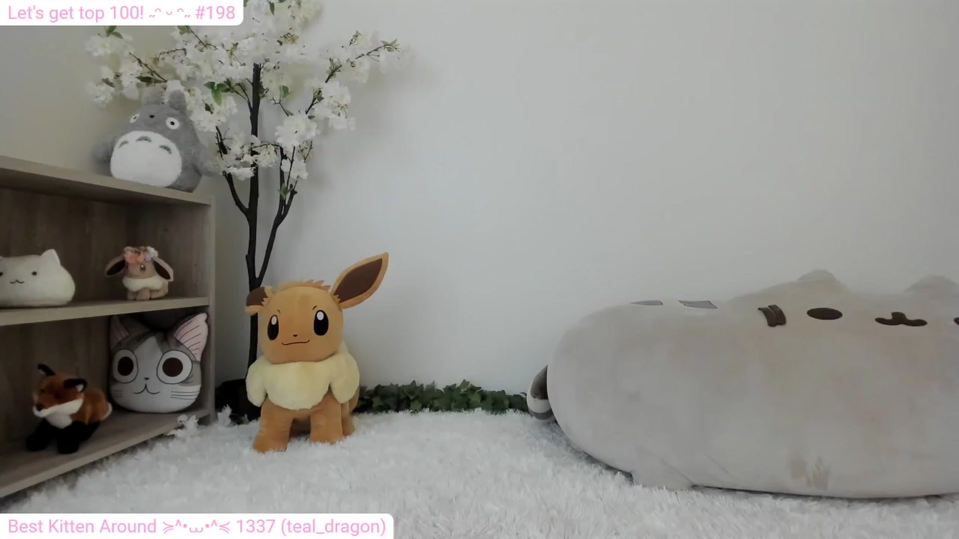 Gallery image thumbnail from Kitty's myfreecams stream on, 01/27/2024, 08:38 image 1 of 20