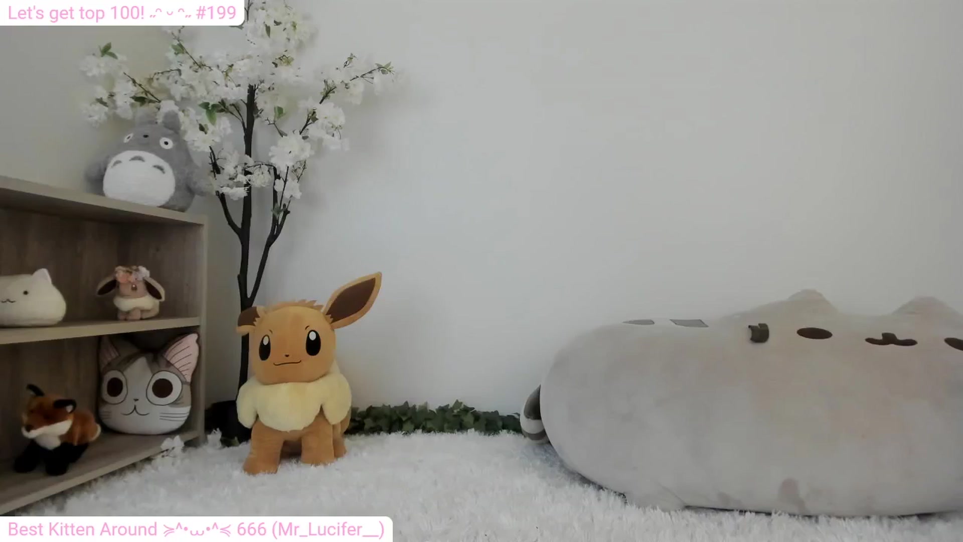 Gallery image thumbnail from Kitty's myfreecams stream on, 01/28/2024, 08:49 image 12 of 20