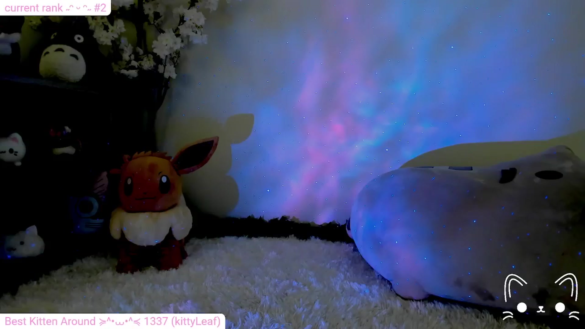 Gallery image thumbnail from Kitty's myfreecams stream on, 02/01/2024, 10:24 image 9 of 20