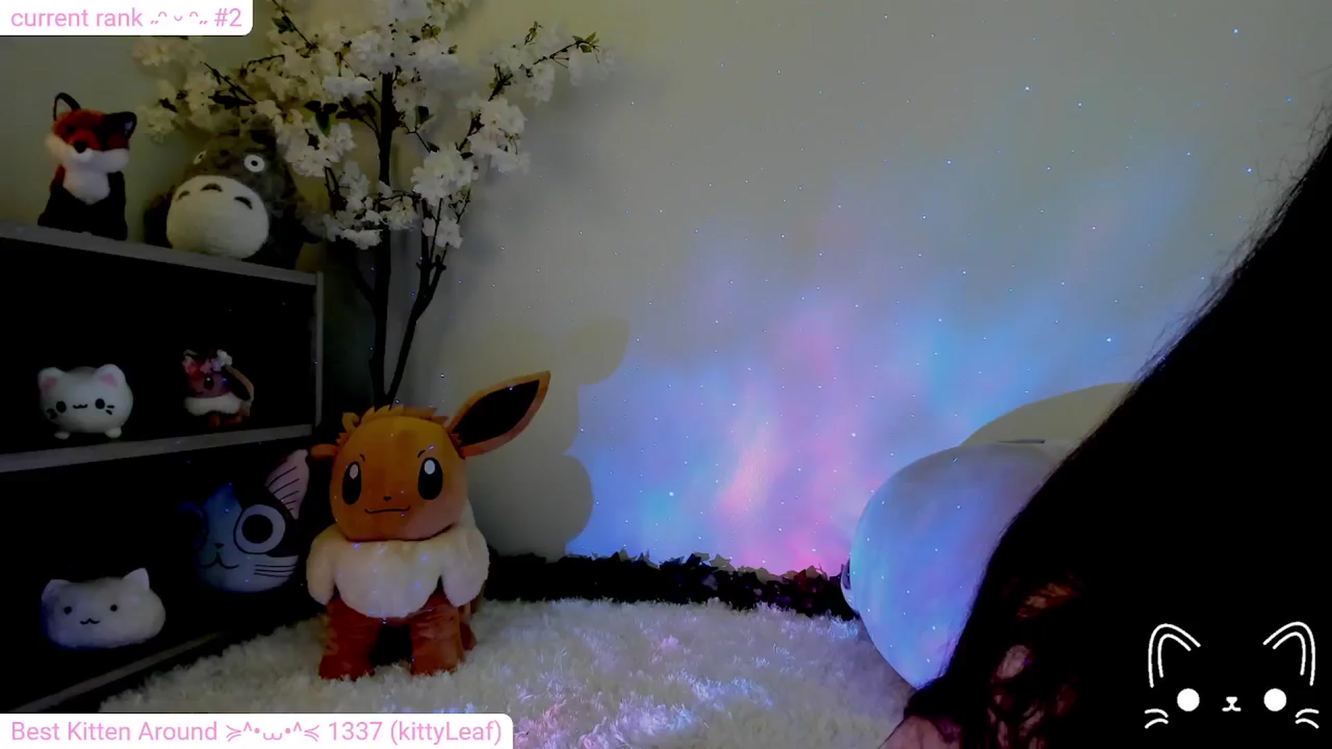 Gallery image thumbnail from Kitty's myfreecams stream on, 02/01/2024, 10:24 image 13 of 20