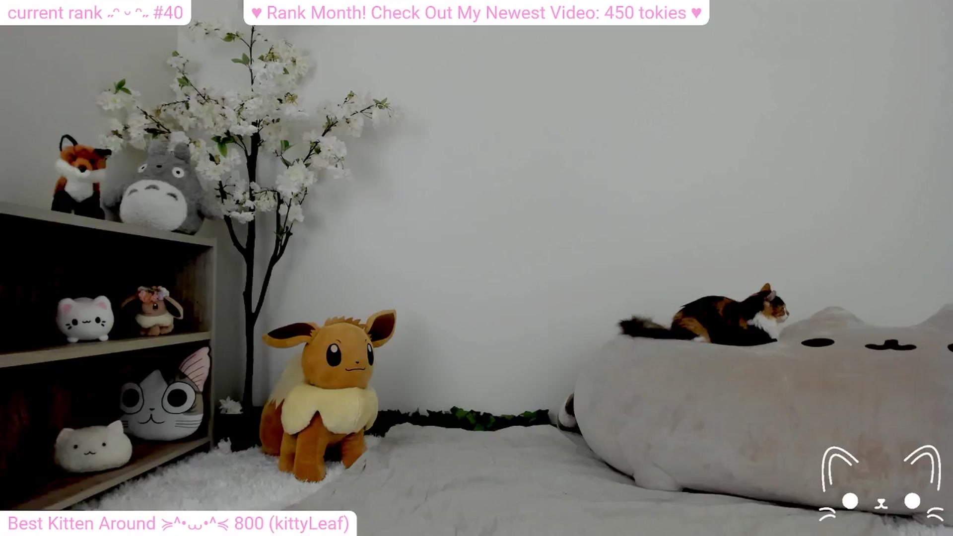 Gallery image thumbnail from Kitty's myfreecams stream on, 02/03/2024, 09:03 image 14 of 20