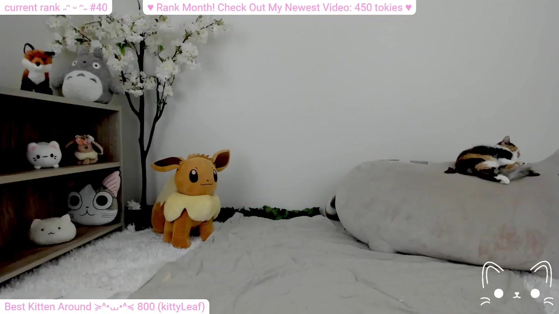Gallery image thumbnail from Kitty's myfreecams stream on, 02/03/2024, 09:03 image 3 of 20