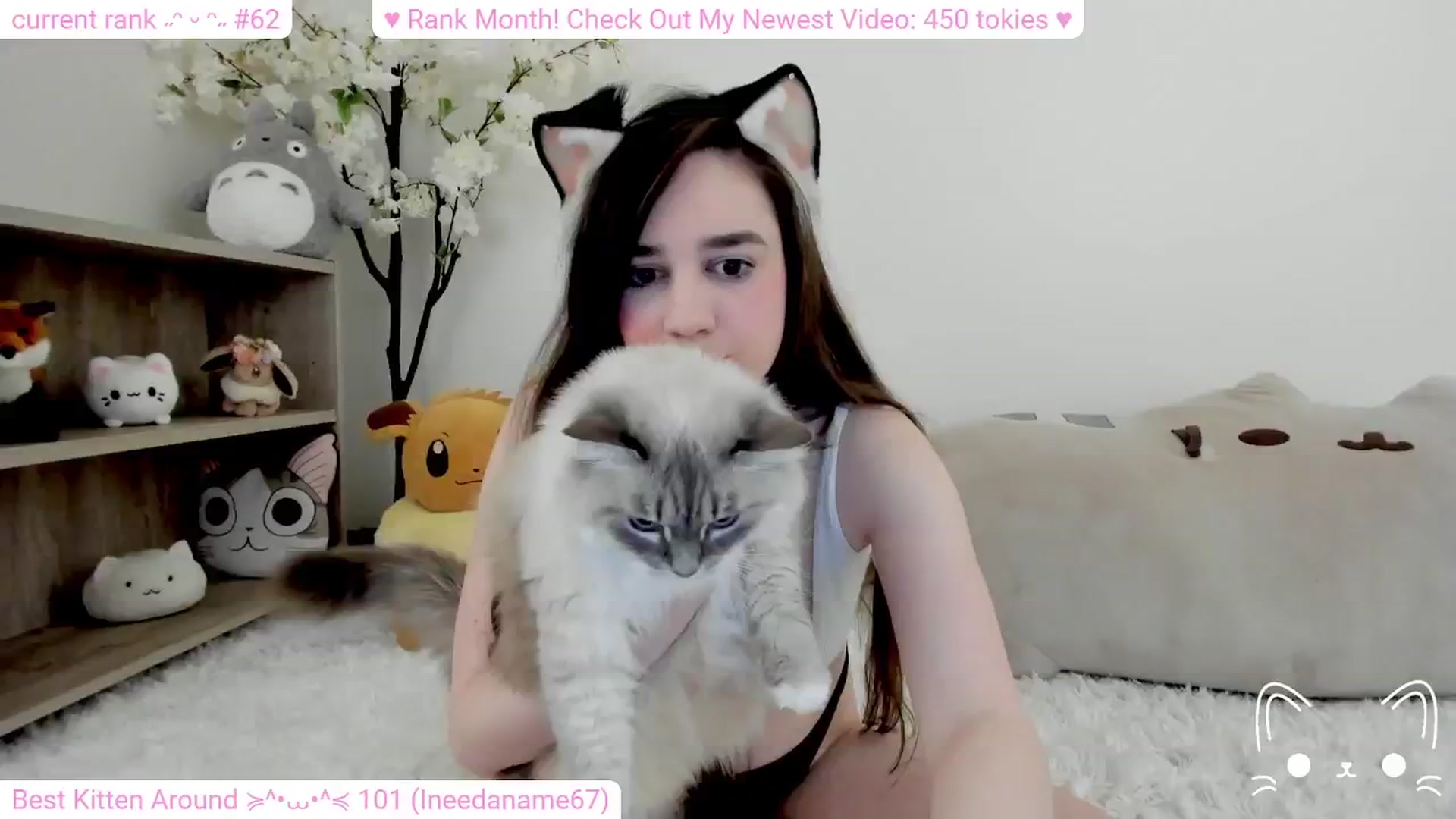 Gallery image thumbnail from Kitty's myfreecams stream on, 02/09/2024, 06:46 image 5 of 20