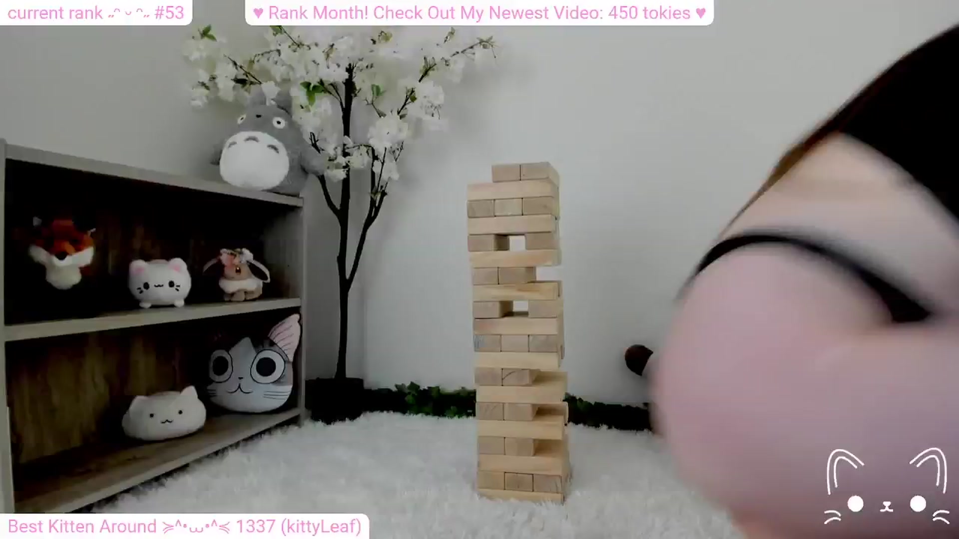 Gallery image thumbnail from Kitty's myfreecams stream on, 02/10/2024, 06:06 image 17 of 20