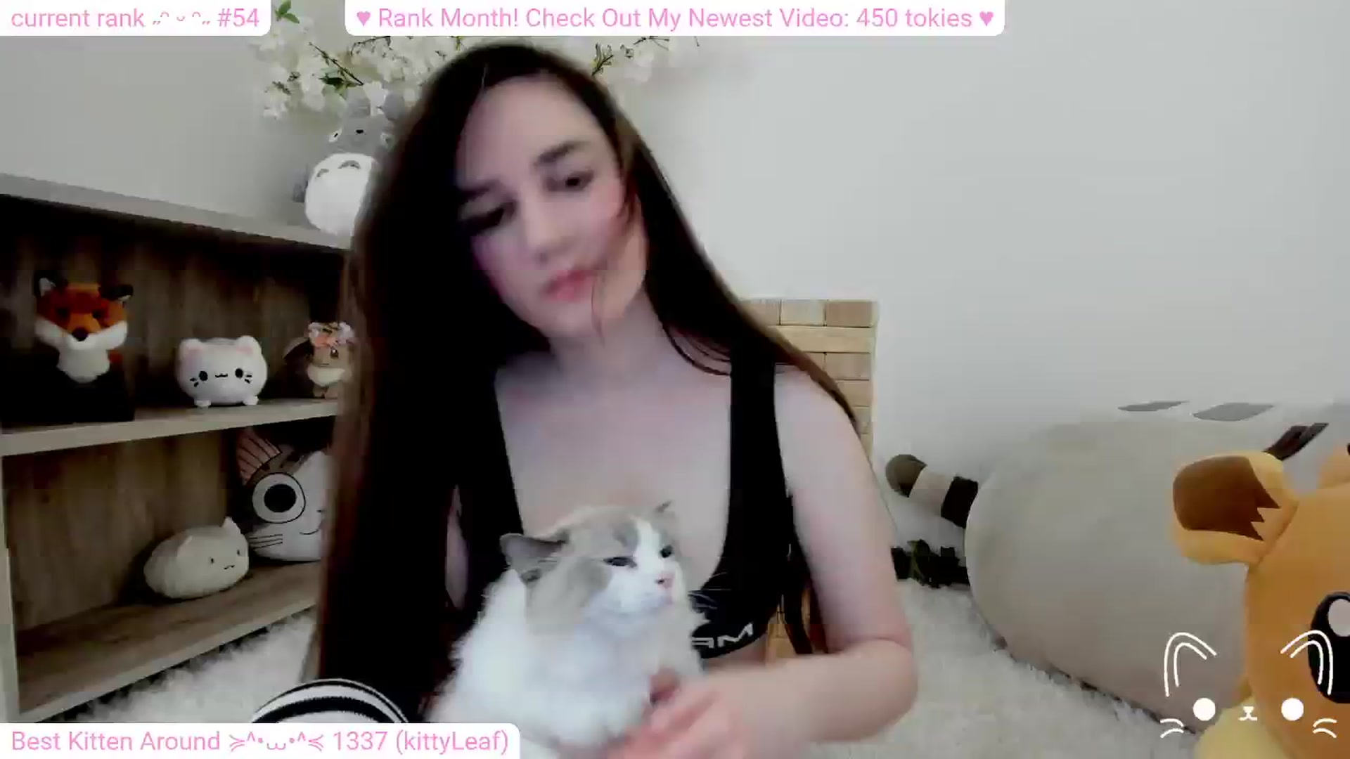 Gallery image thumbnail from Kitty's myfreecams stream on, 02/10/2024, 06:43 image 17 of 20