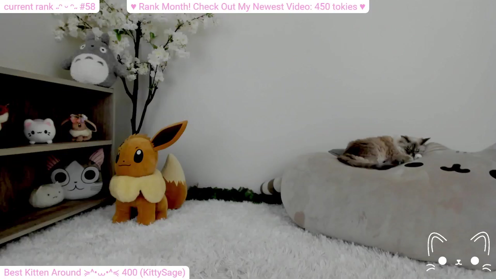 Gallery image thumbnail from Kitty's myfreecams stream on, 02/11/2024, 05:49 image 19 of 20