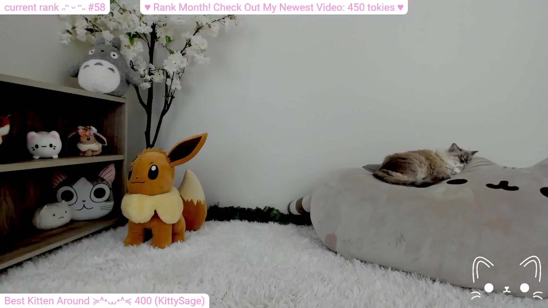 Gallery image thumbnail from Kitty's myfreecams stream on, 02/11/2024, 05:49 image 10 of 20