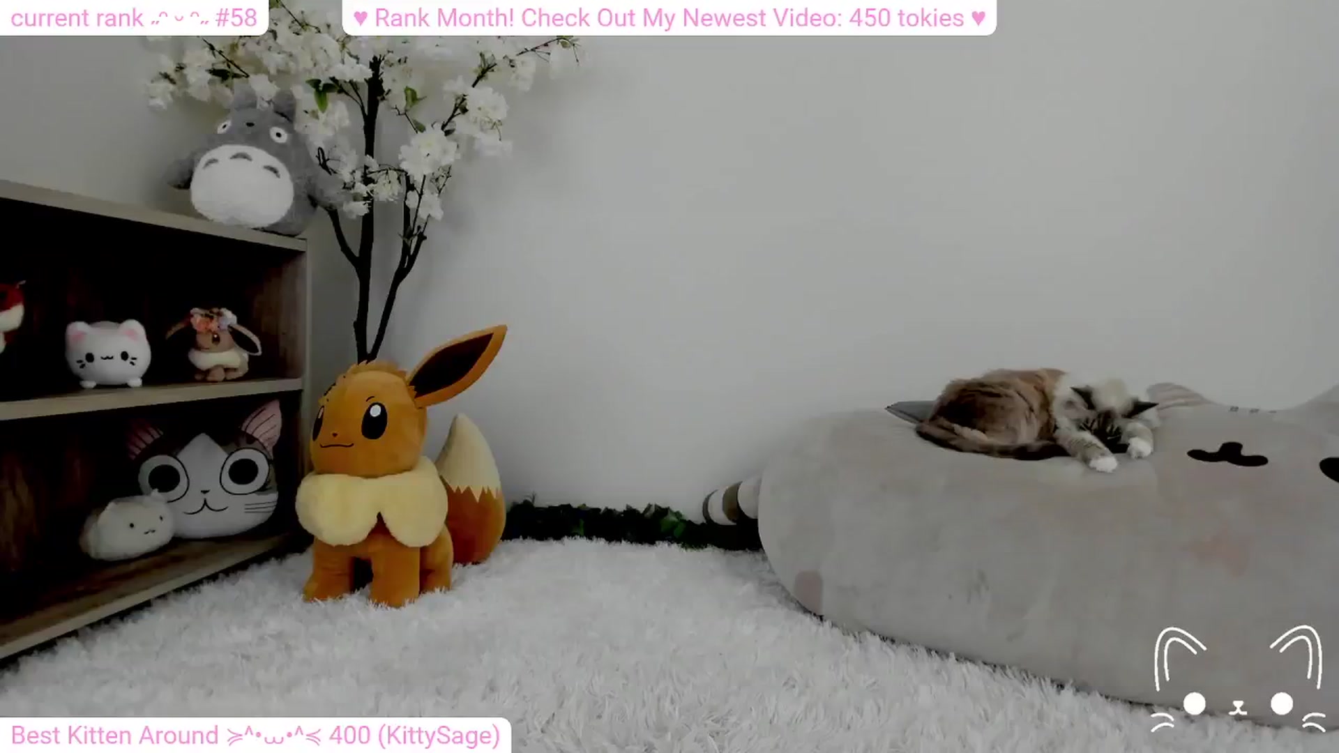 Gallery image thumbnail from Kitty's myfreecams stream on, 02/11/2024, 05:49 image 7 of 20