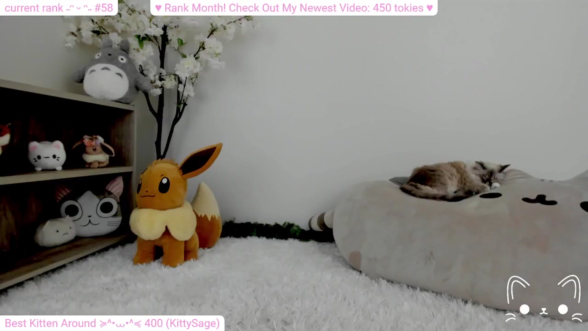 Gallery image thumbnail from Kitty's myfreecams stream on, 02/11/2024, 05:49 image 20 of 20