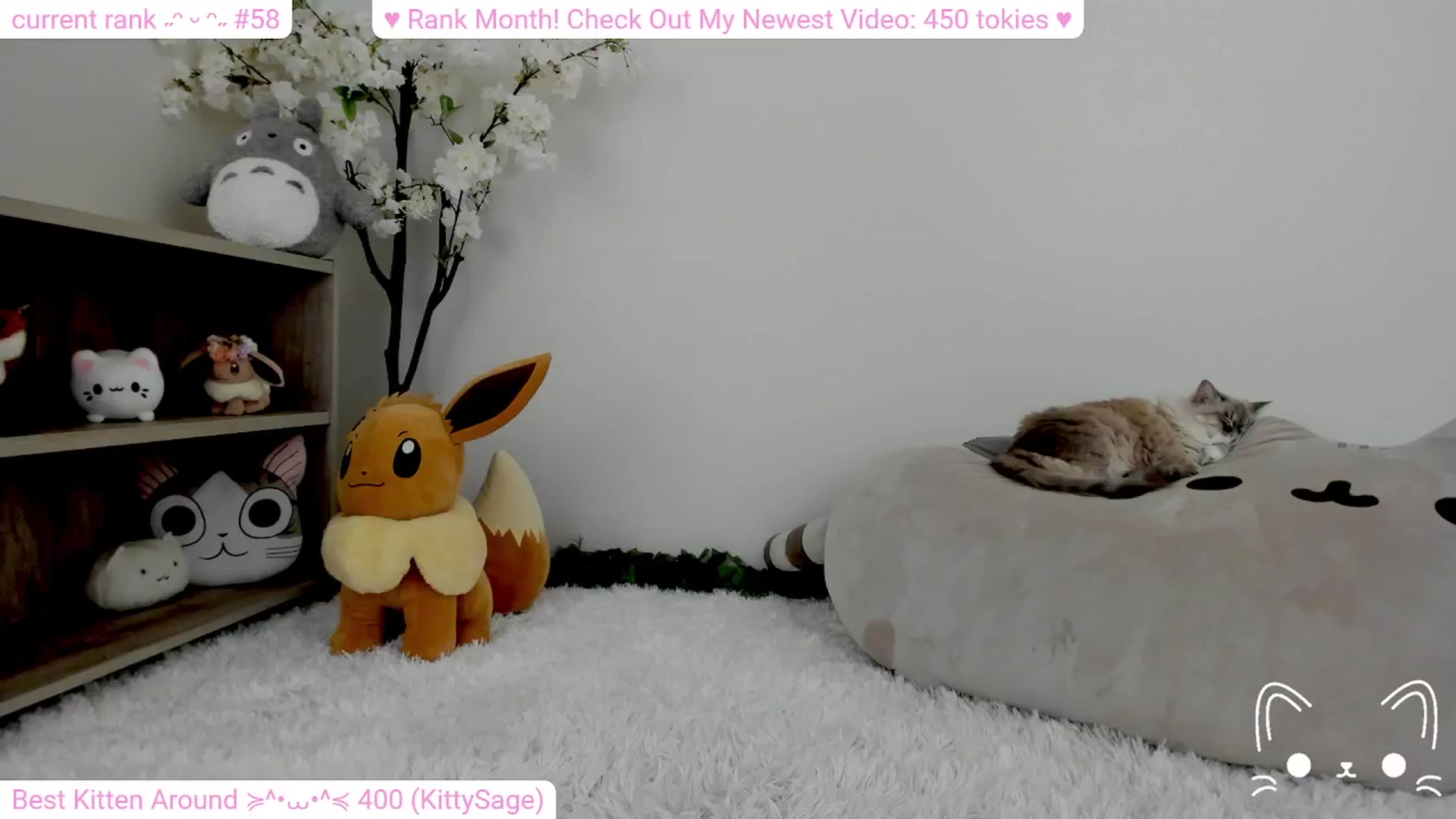 Gallery image thumbnail from Kitty's myfreecams stream on, 02/11/2024, 05:49 image 9 of 20