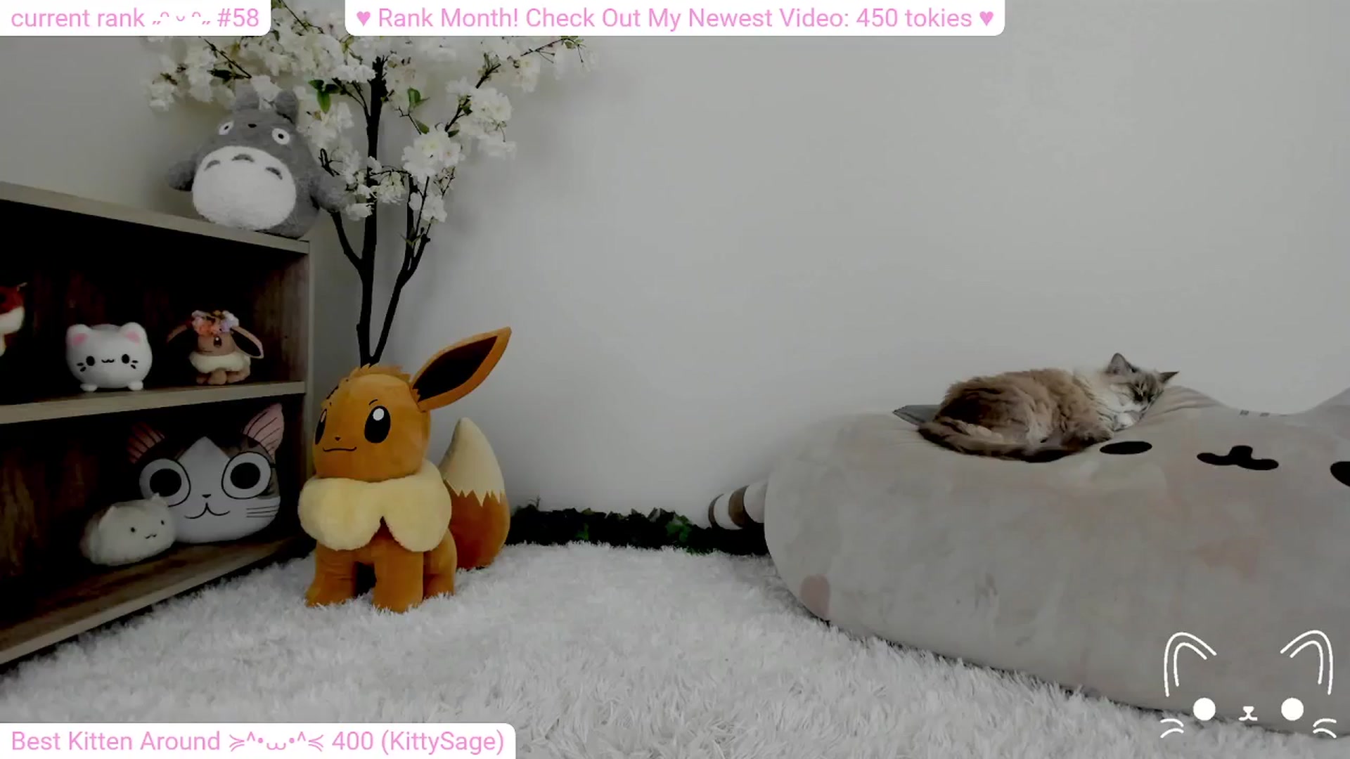Gallery image thumbnail from Kitty's myfreecams stream on, 02/11/2024, 05:49 image 12 of 20