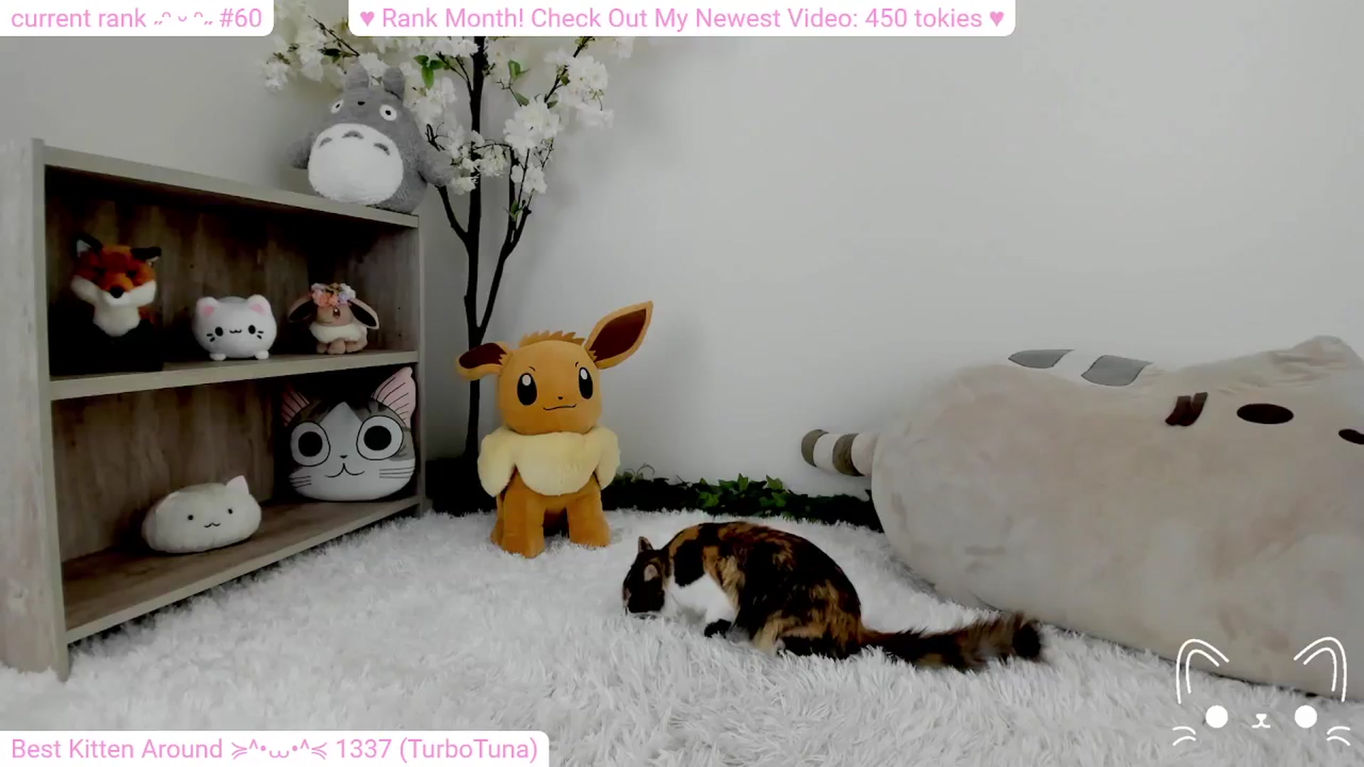 Gallery image thumbnail from Kitty's myfreecams stream on, 02/12/2024, 07:48 image 10 of 20