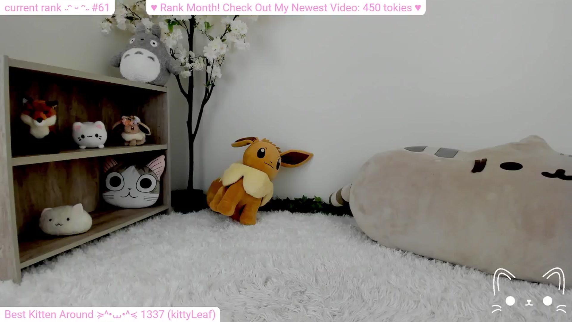Gallery image thumbnail from Kitty's myfreecams stream on, 02/13/2024, 07:26 image 16 of 20
