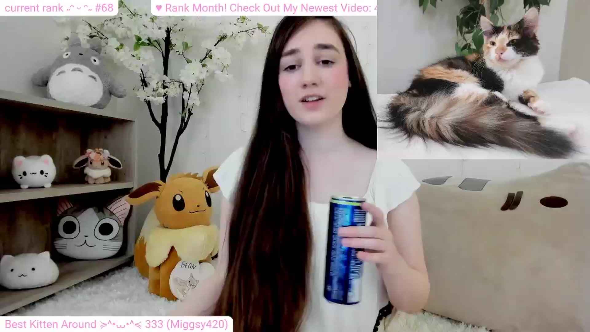 Gallery image thumbnail from Kitty's myfreecams stream on, 02/21/2024, 07:33 image 9 of 20
