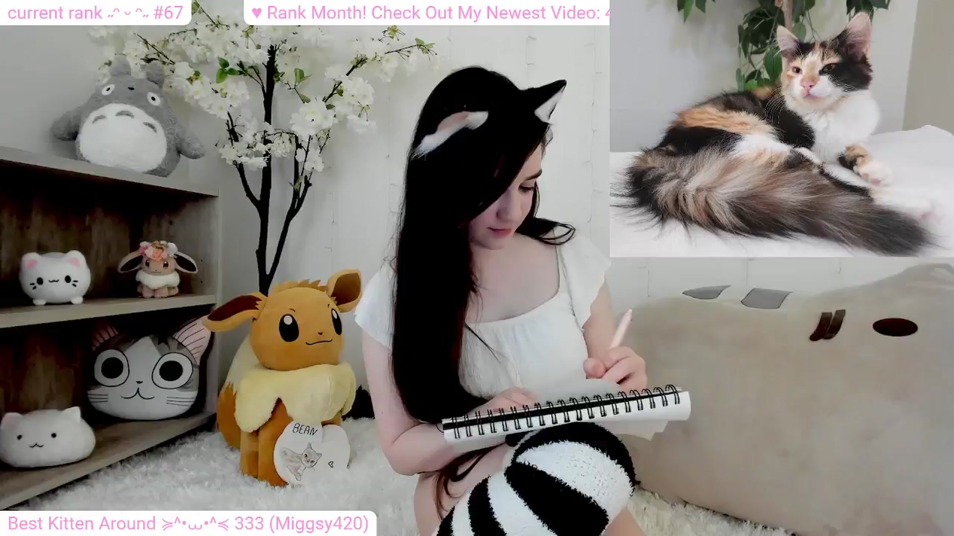 Gallery image thumbnail from Kitty's myfreecams stream on, 02/21/2024, 07:33 image 14 of 20