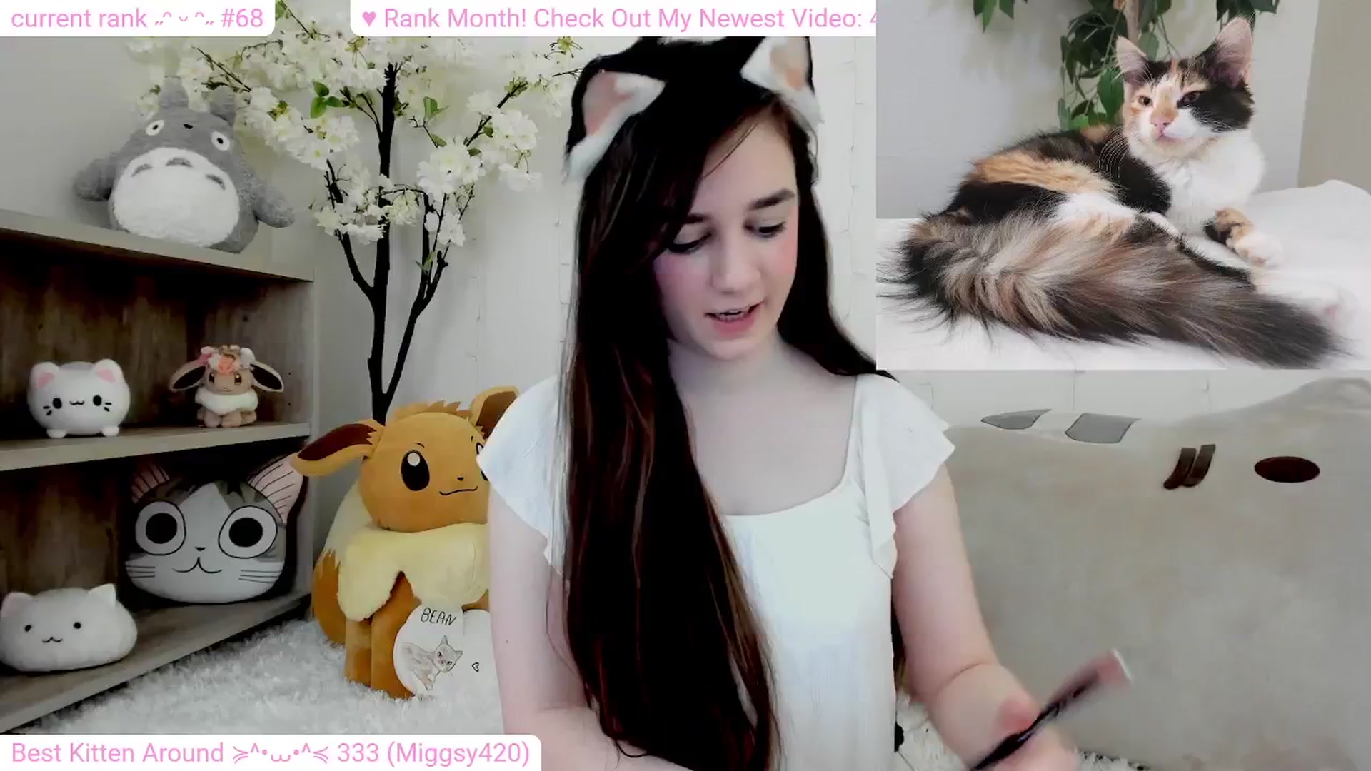 Gallery image thumbnail from Kitty's myfreecams stream on, 02/21/2024, 07:33 image 10 of 20