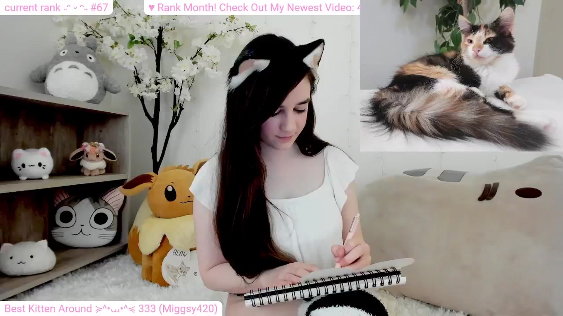 Gallery image thumbnail from Kitty's myfreecams stream on, 02/21/2024, 07:33 image 13 of 20