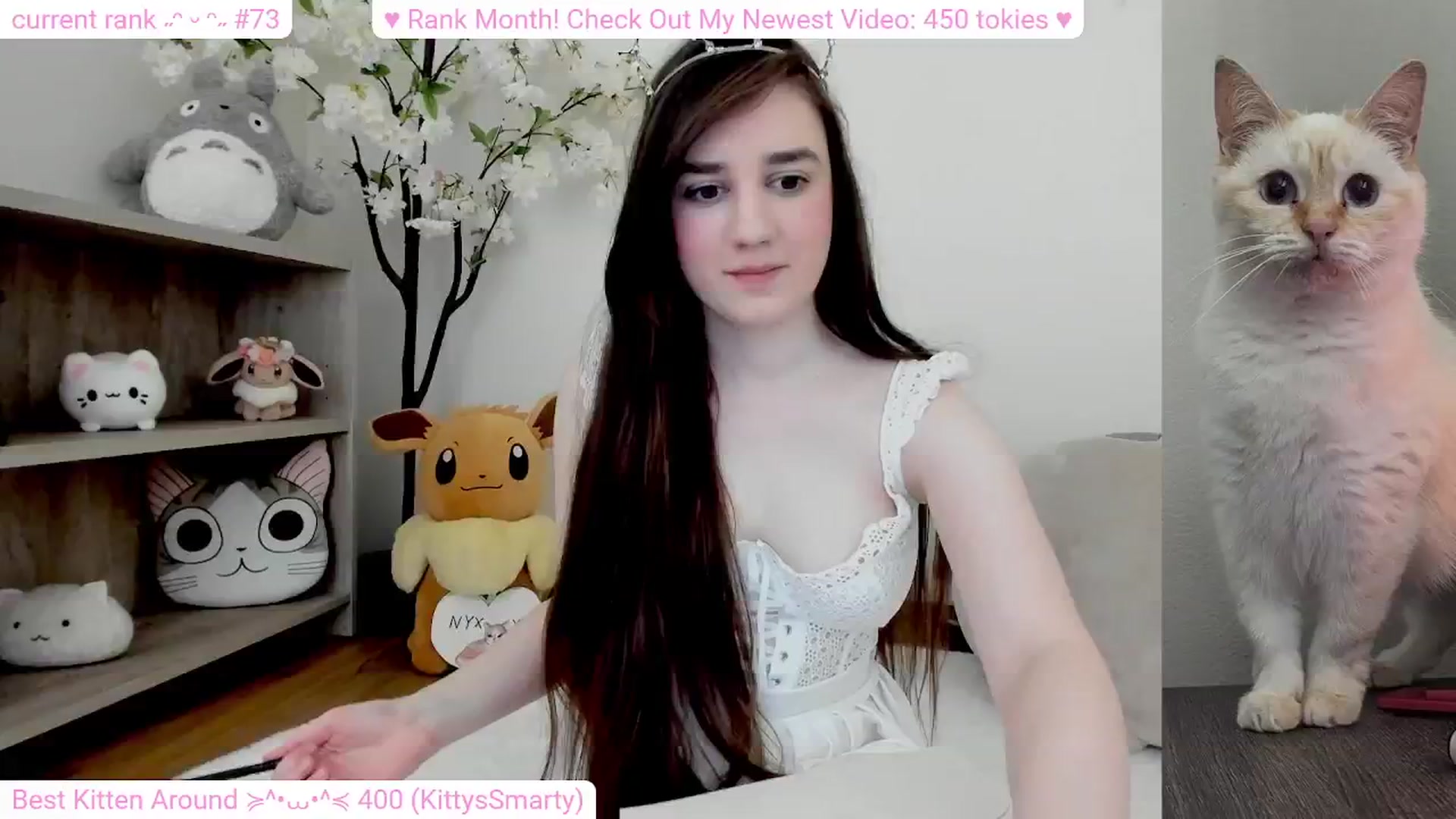 Gallery image thumbnail from Kitty's myfreecams stream on, 02/24/2024, 10:13 image 11 of 20