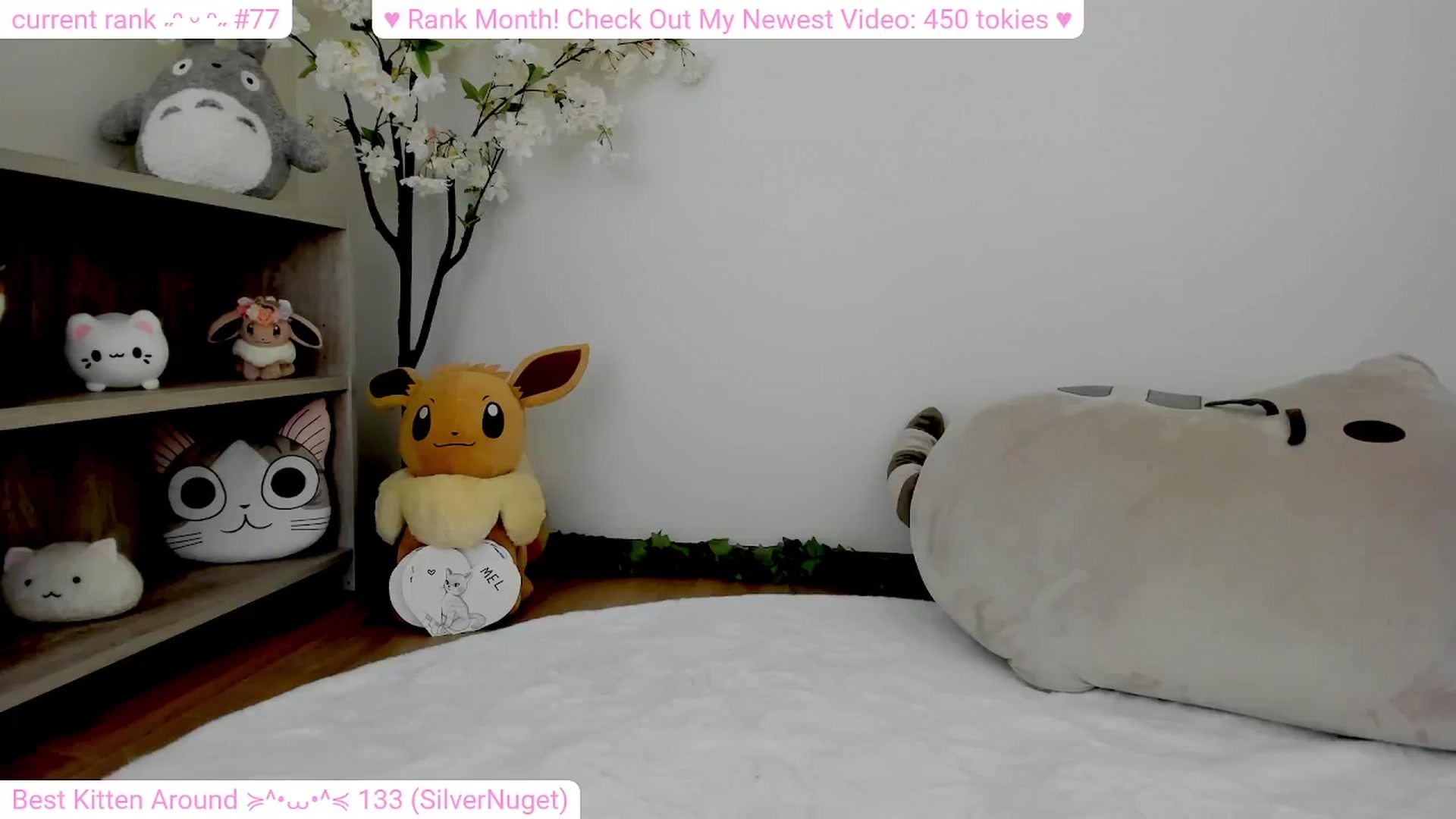 Gallery image thumbnail from Kitty's myfreecams stream on, 02/26/2024, 05:49 image 11 of 20