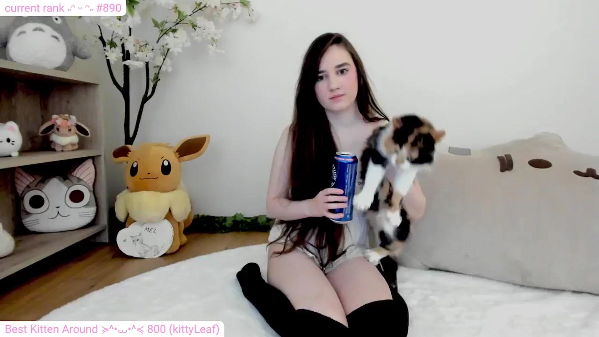 Gallery image thumbnail from Kitty's myfreecams stream on, 03/03/2024, 06:59 image 13 of 20