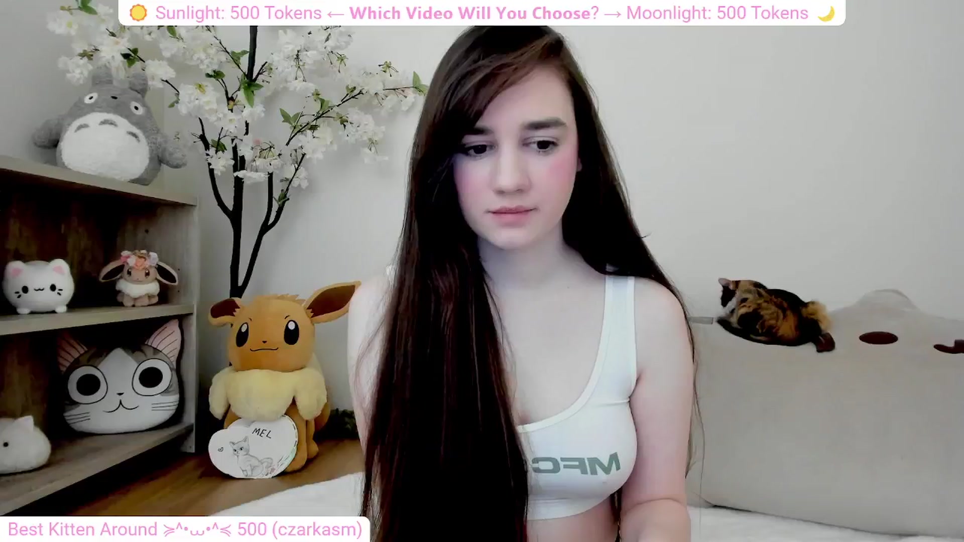 Gallery image thumbnail from Kitty's myfreecams stream on, 03/04/2024, 06:03 image 15 of 20