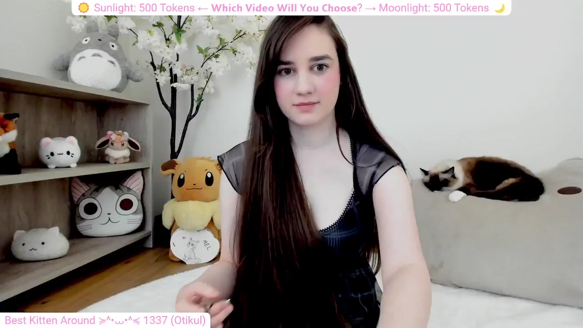 Gallery image thumbnail from Kitty's myfreecams stream on, 03/06/2024, 05:38 image 19 of 20