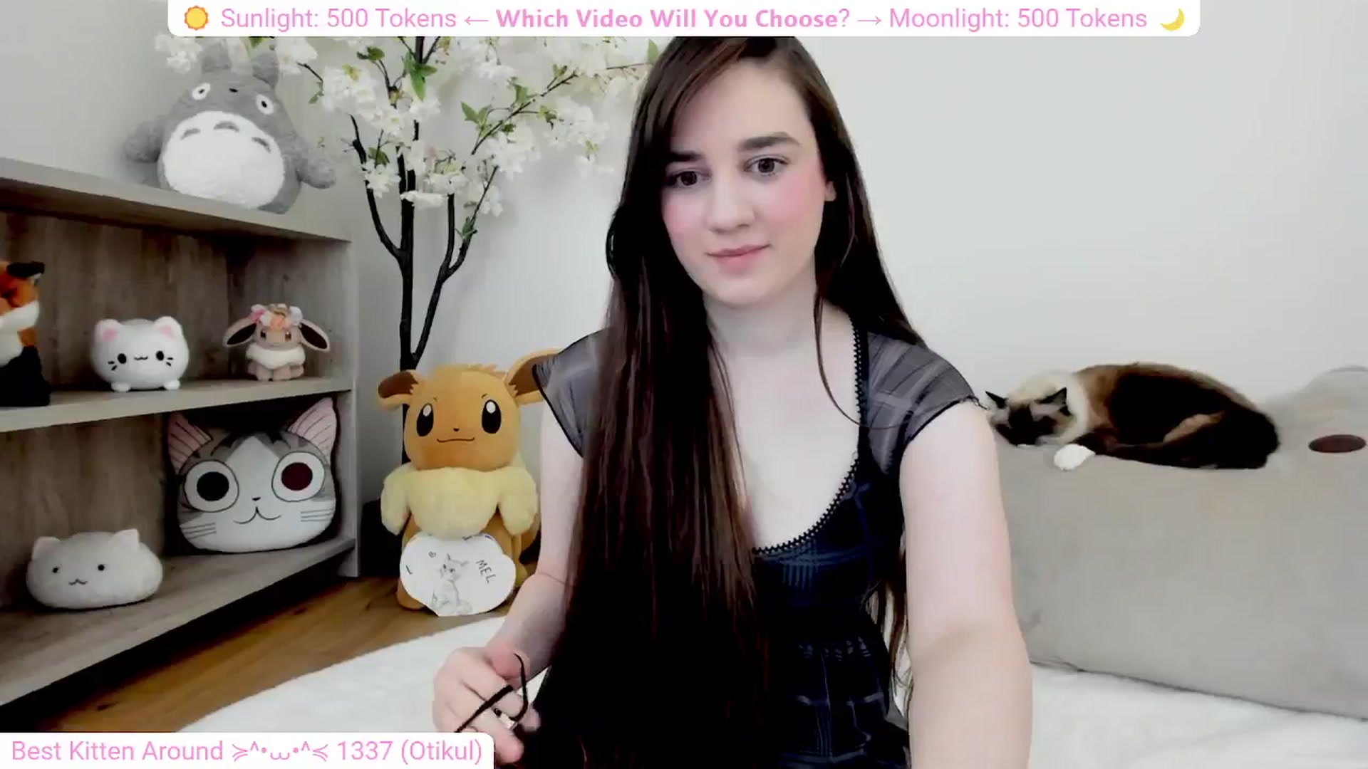 Gallery image thumbnail from Kitty's myfreecams stream on, 03/06/2024, 05:38 image 20 of 20