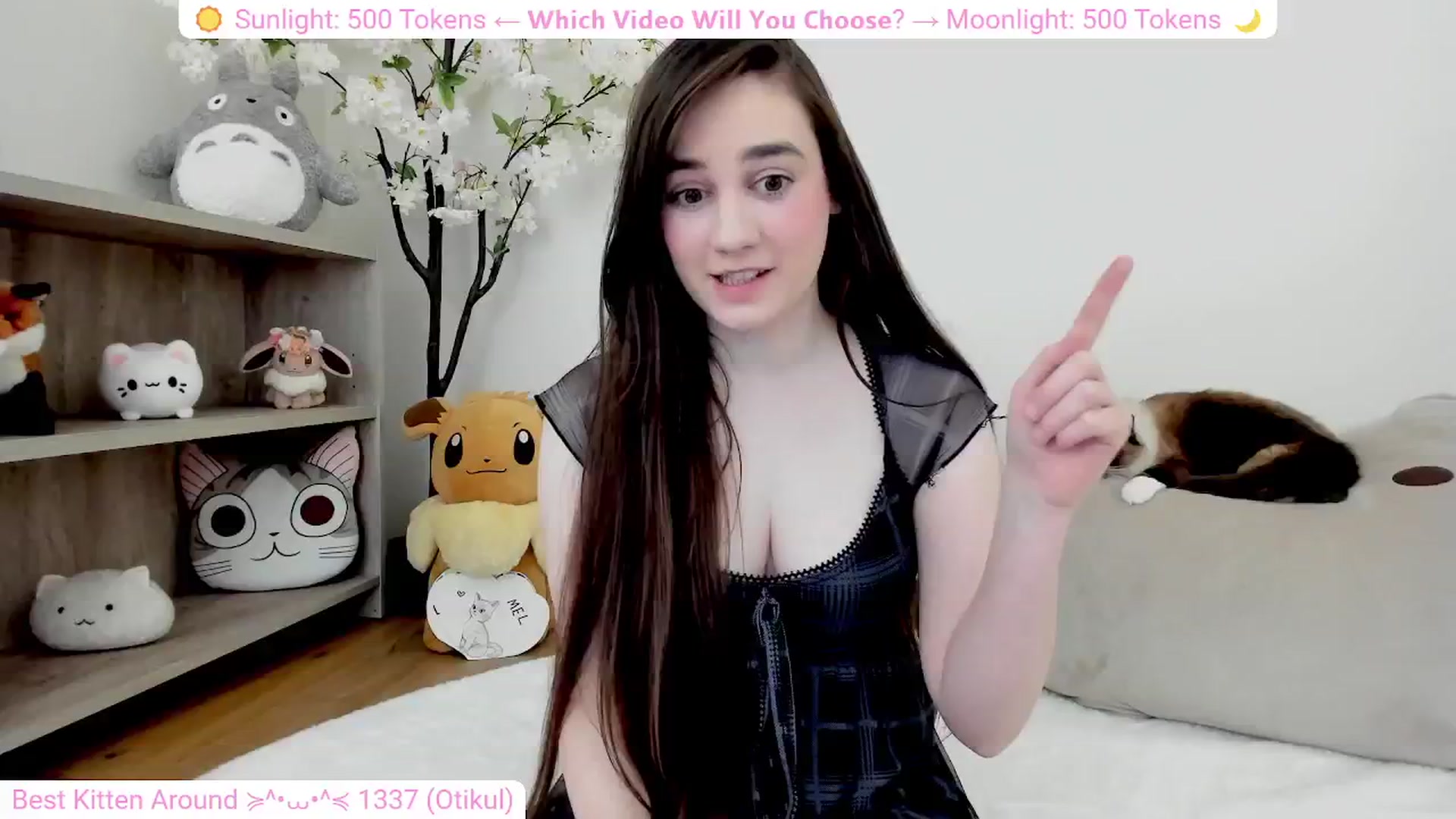 Gallery image thumbnail from Kitty's myfreecams stream on, 03/06/2024, 05:38 image 13 of 20