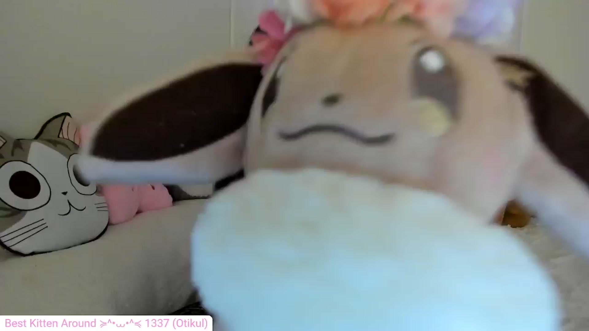 Gallery image thumbnail from Kitty's myfreecams stream on, 04/07/2024, 06:15 image 12 of 20