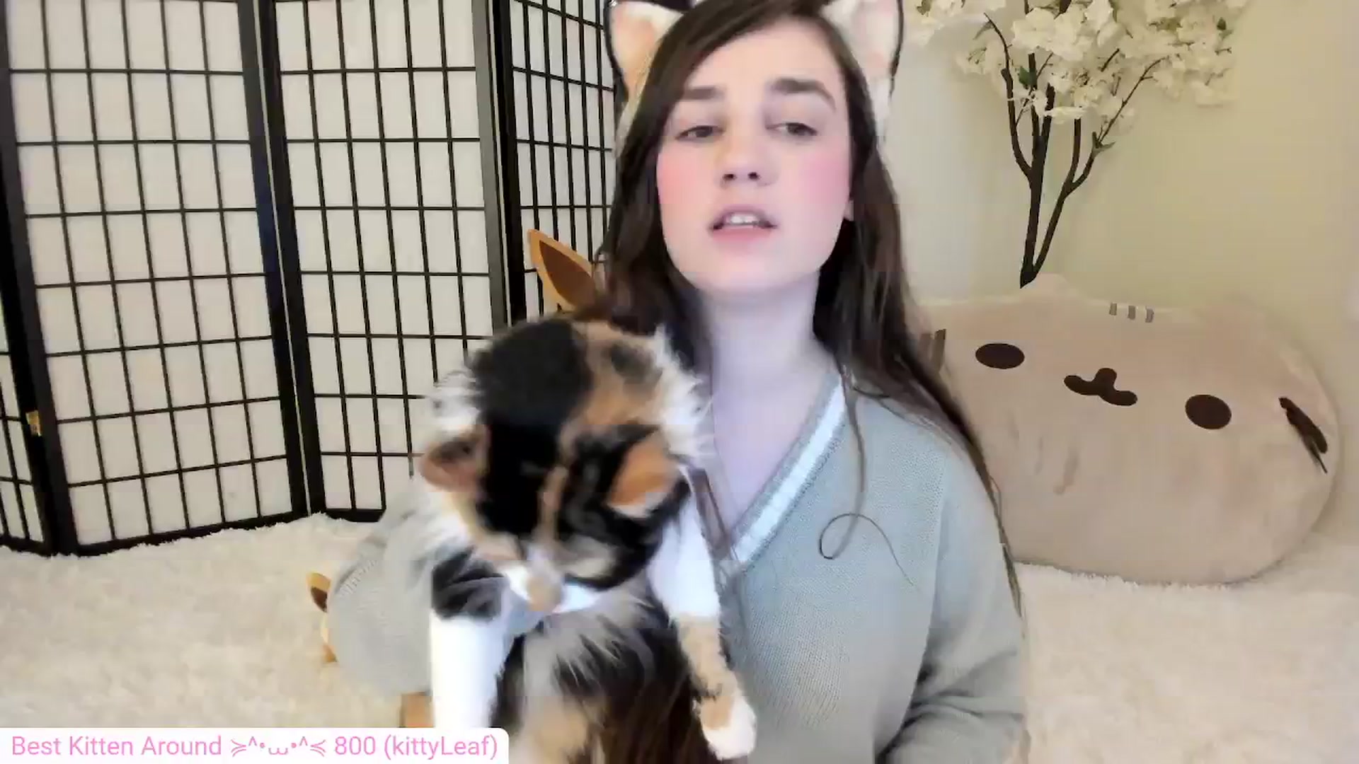 Gallery image thumbnail from Kitty's myfreecams stream on, 05/06/2024, 06:26 image 5 of 20