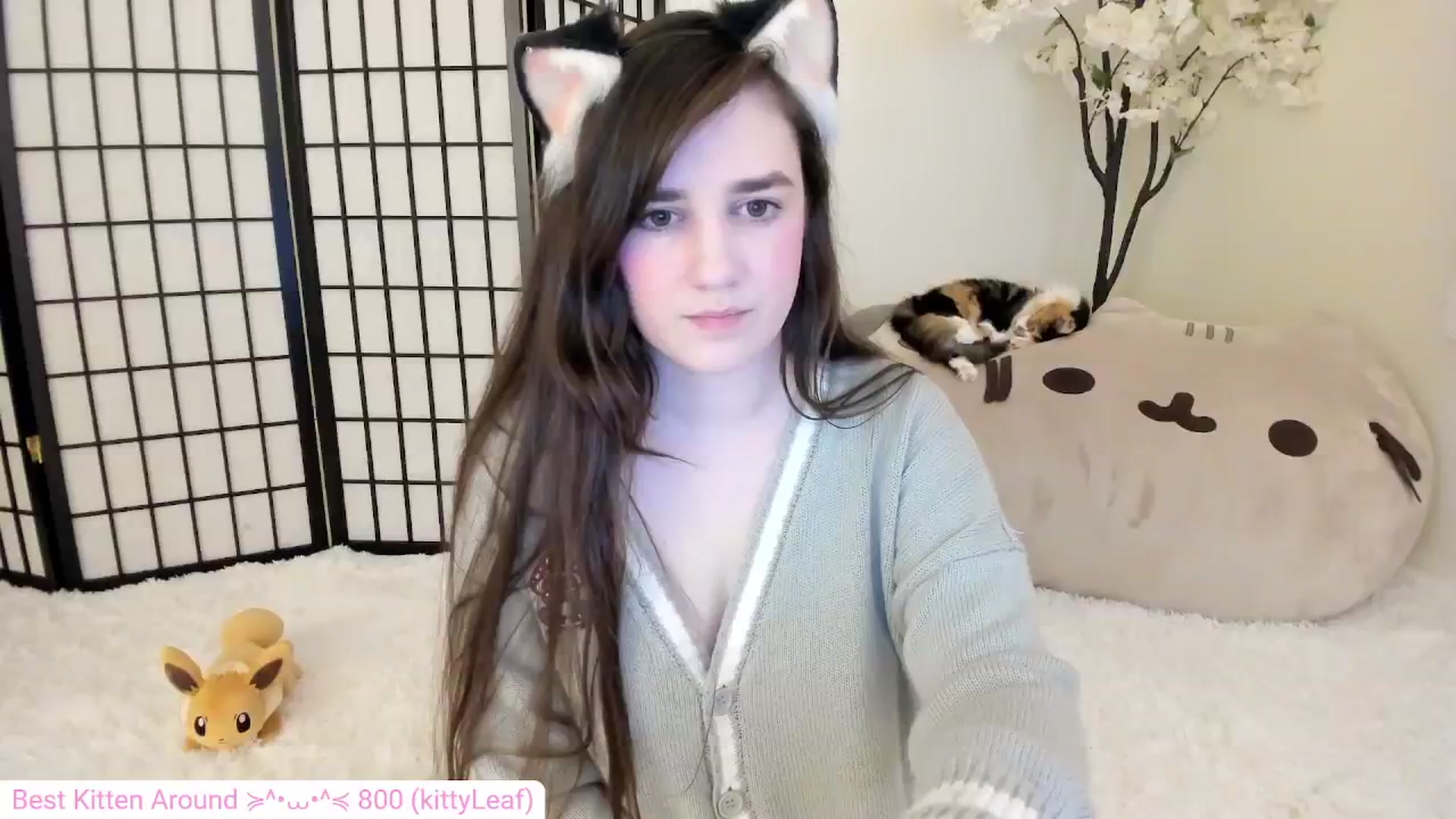 Gallery image thumbnail from Kitty's myfreecams stream on, 05/06/2024, 06:26 image 9 of 20