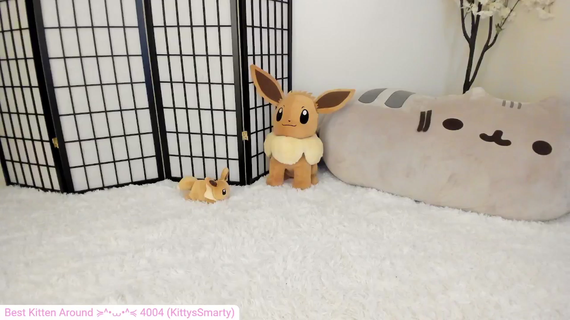 Gallery image thumbnail from Kitty's myfreecams stream on, 05/07/2024, 06:23 image 12 of 20