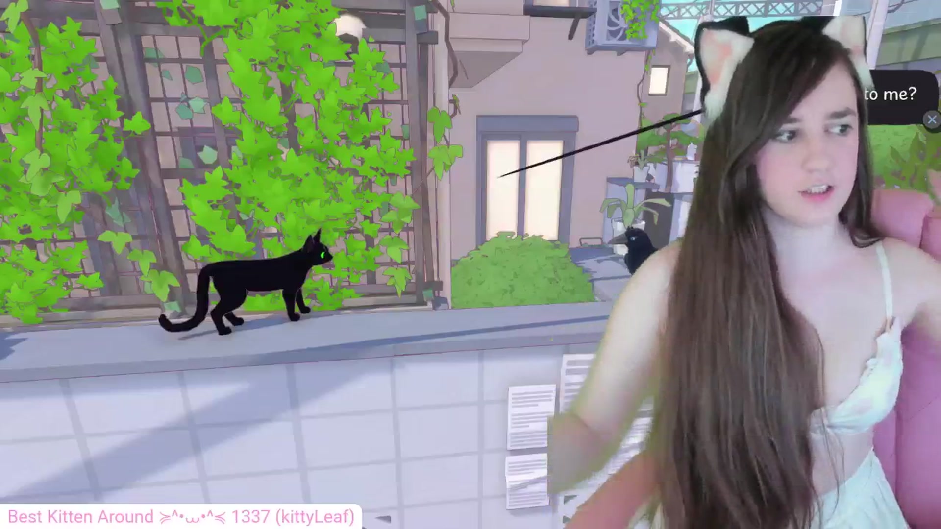 Gallery image thumbnail from Kitty's myfreecams stream on, 05/11/2024, 05:59 image 10 of 20