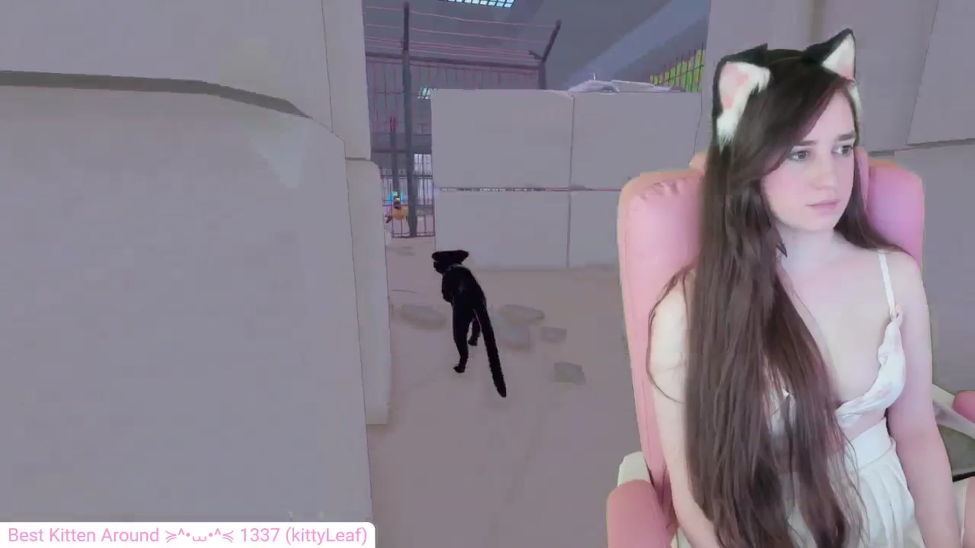 Gallery image thumbnail from Kitty's myfreecams stream on, 05/11/2024, 05:59 image 16 of 20
