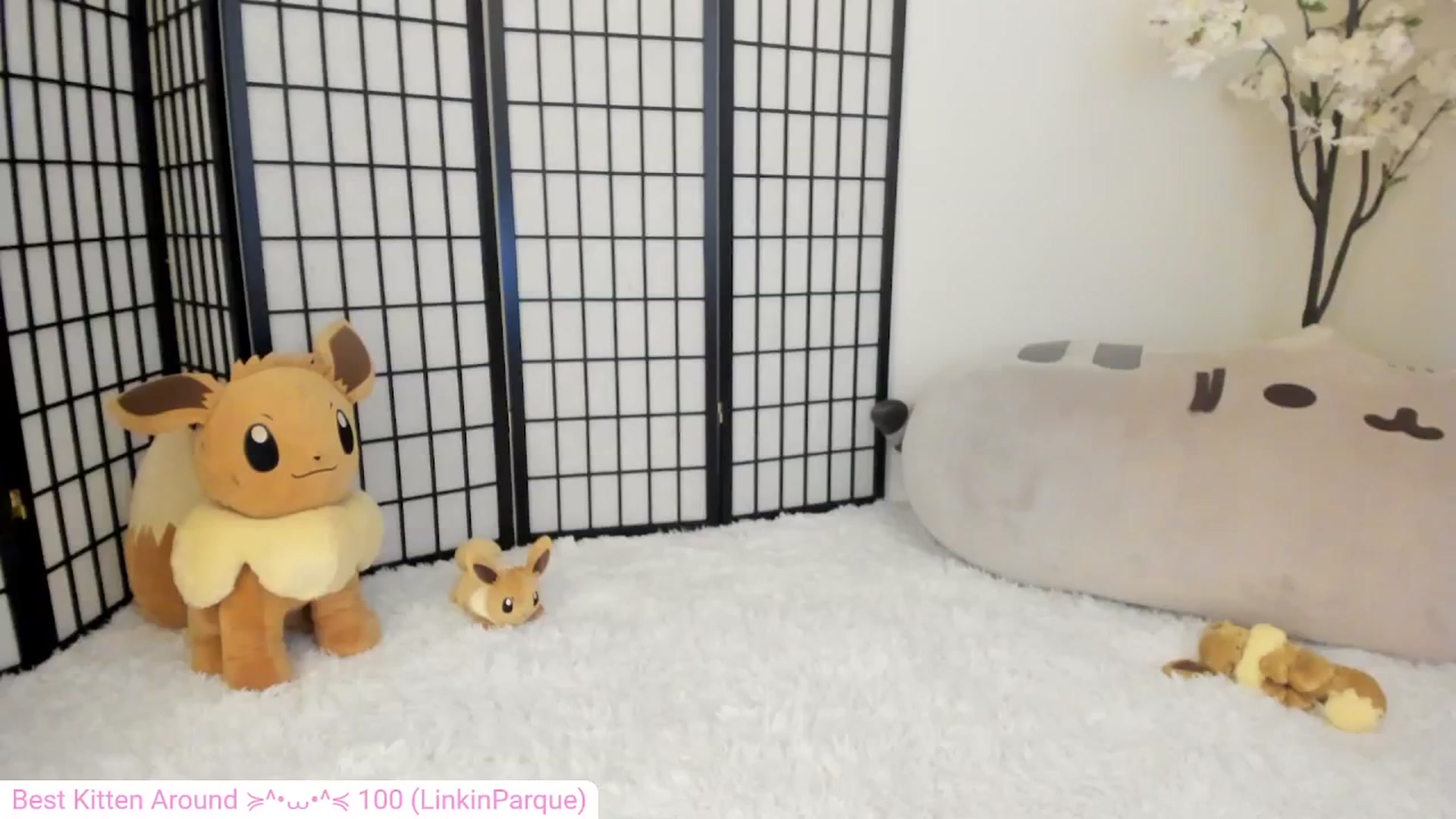 Gallery image thumbnail from Kitty's myfreecams stream on, 05/13/2024, 04:44 image 8 of 20