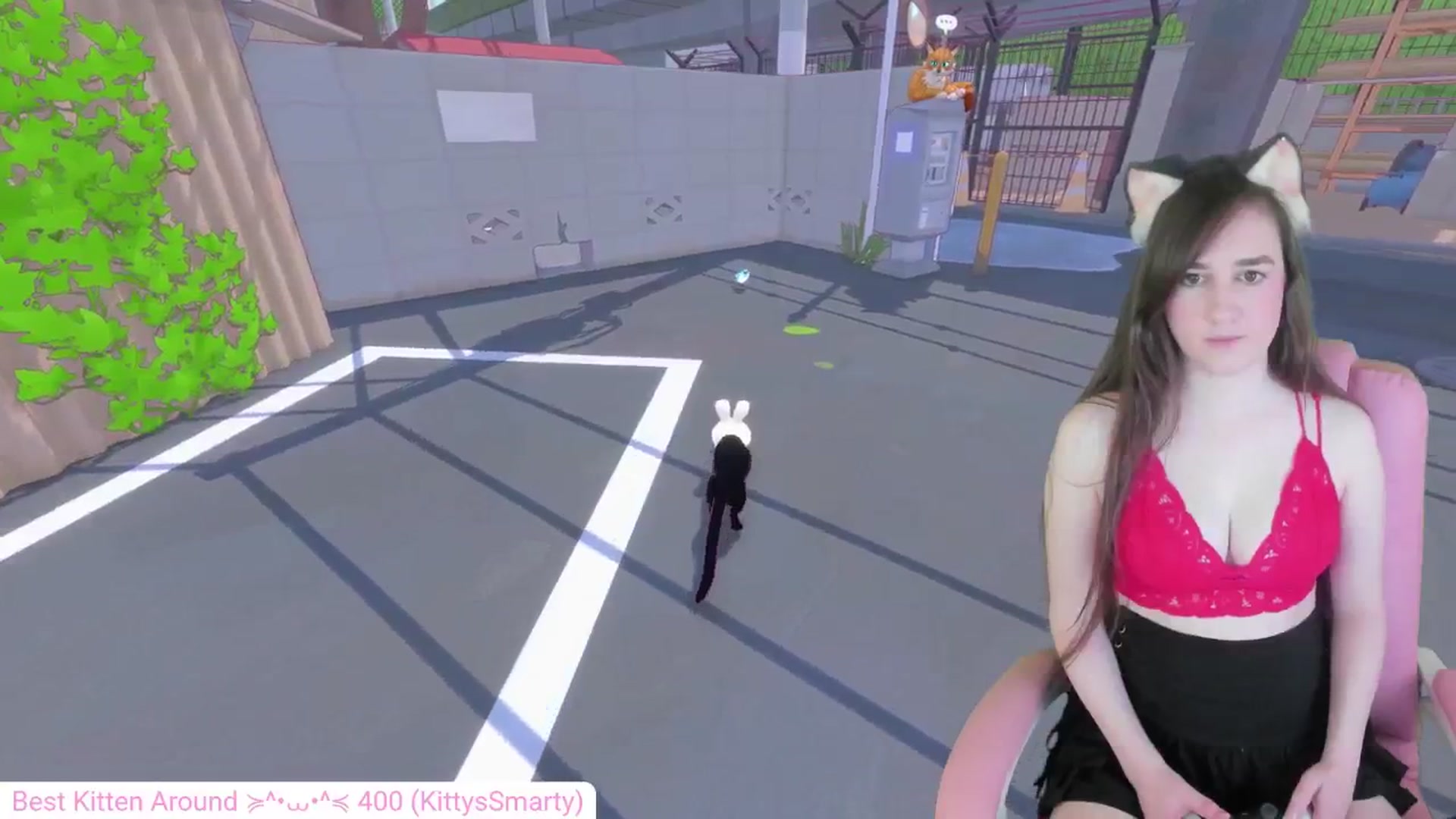 Gallery image thumbnail from Kitty's myfreecams stream on, 05/14/2024, 05:43 image 10 of 20