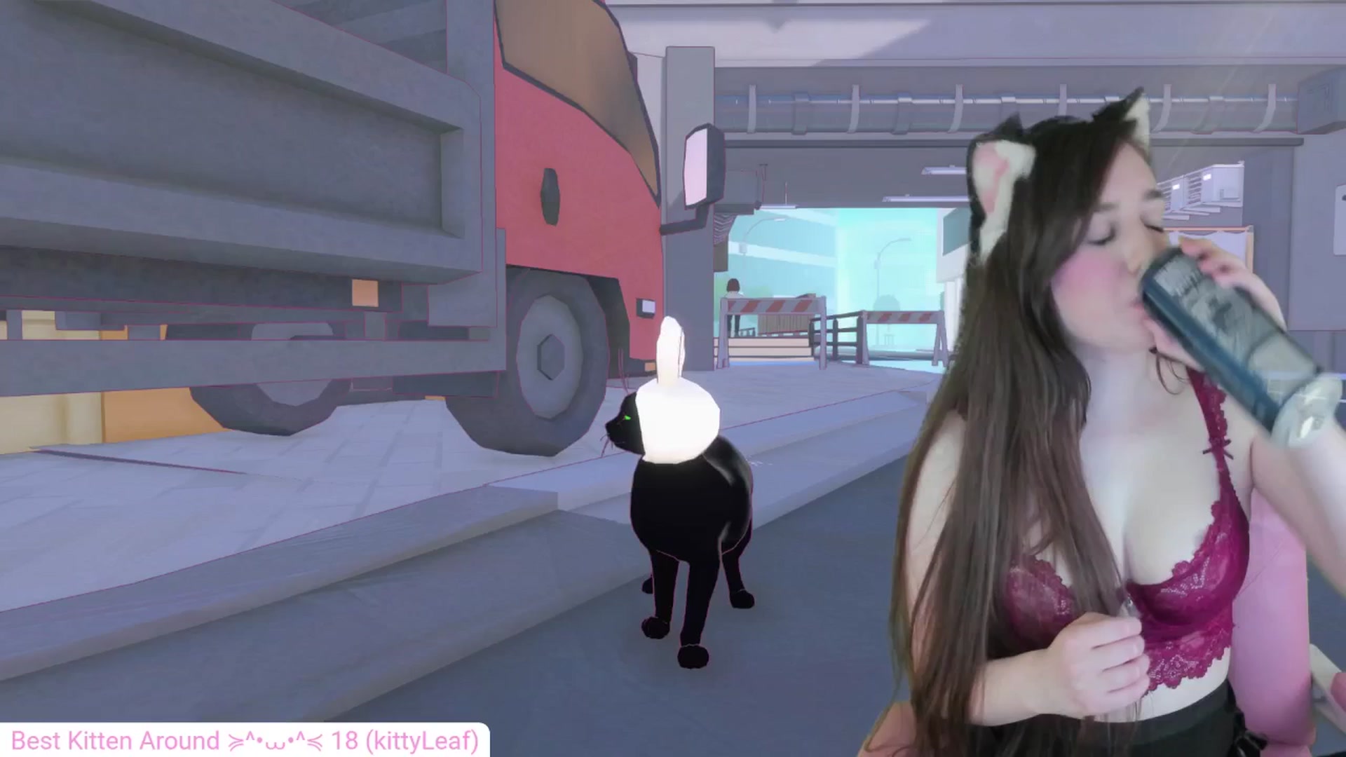 Gallery image thumbnail from Kitty's myfreecams stream on, 05/15/2024, 04:42 image 3 of 20